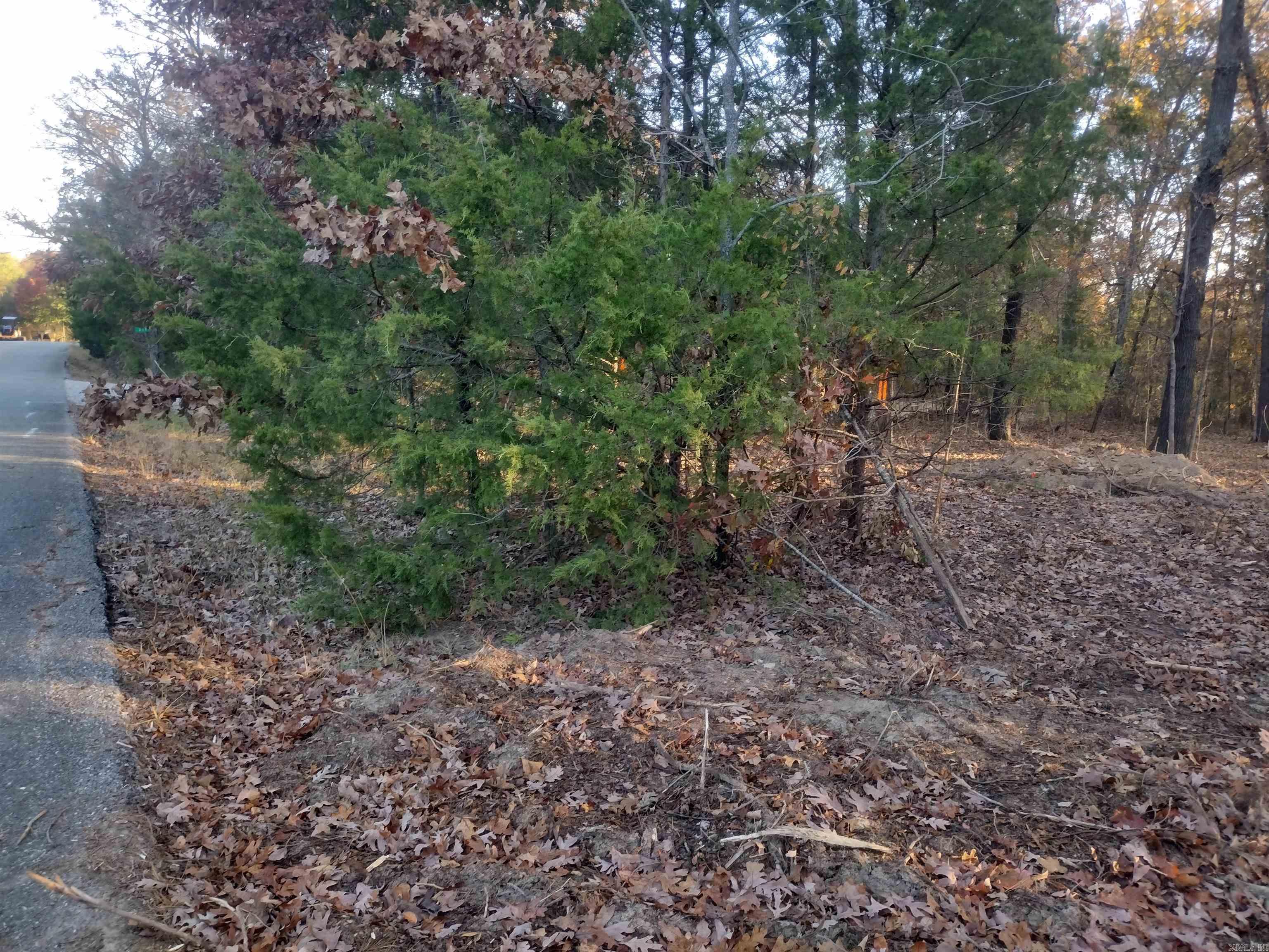 0 Westwood AVE  Mountain View, AR