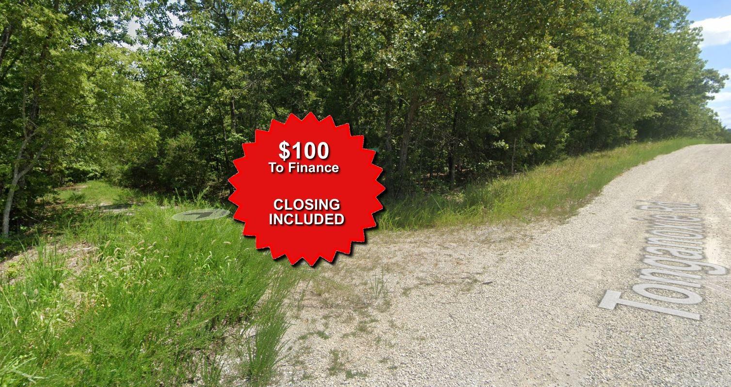 Lot 13 Saponi  Cherokee Village, AR