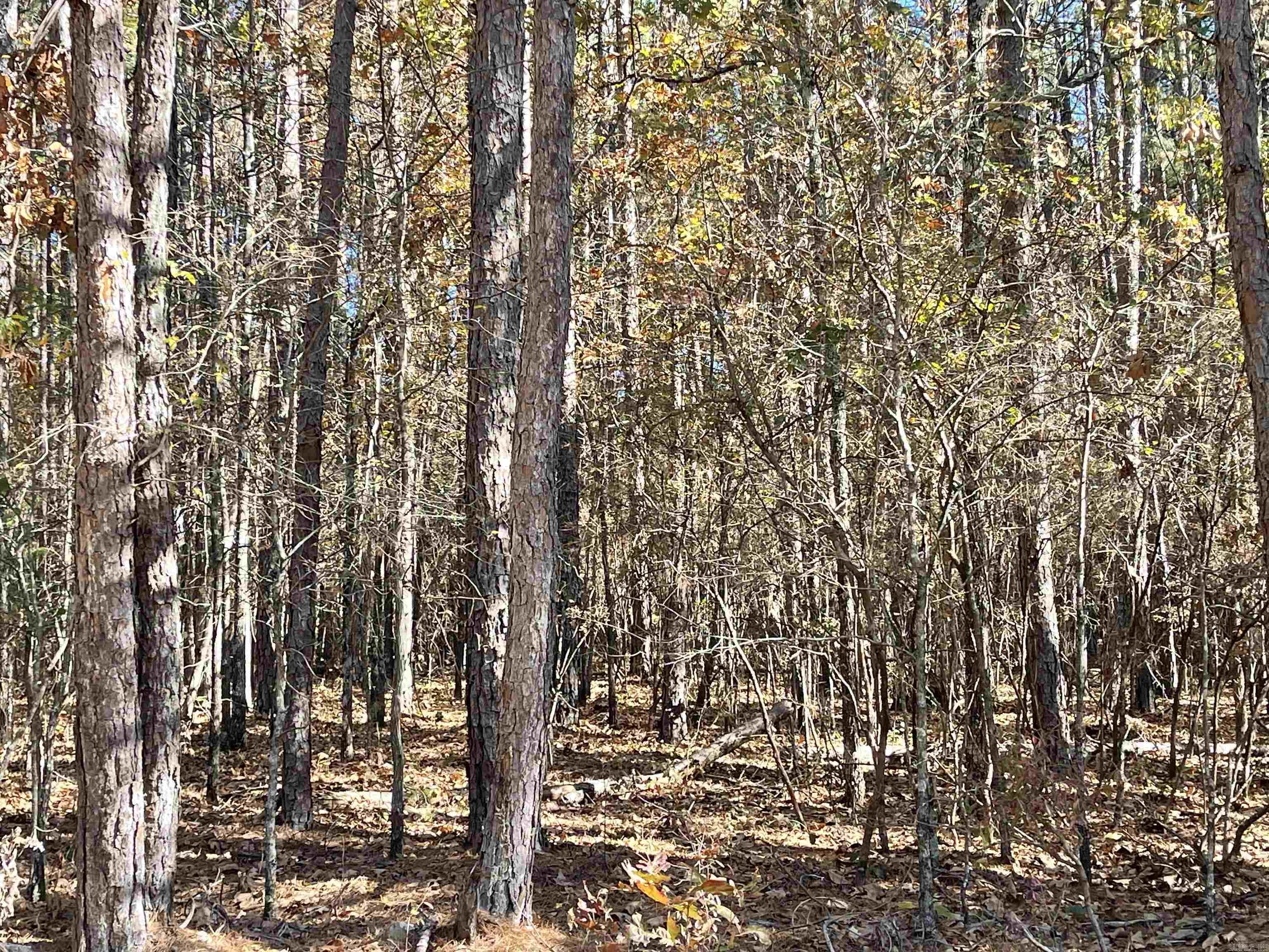 000 Edgemere  Fairfield Bay, AR