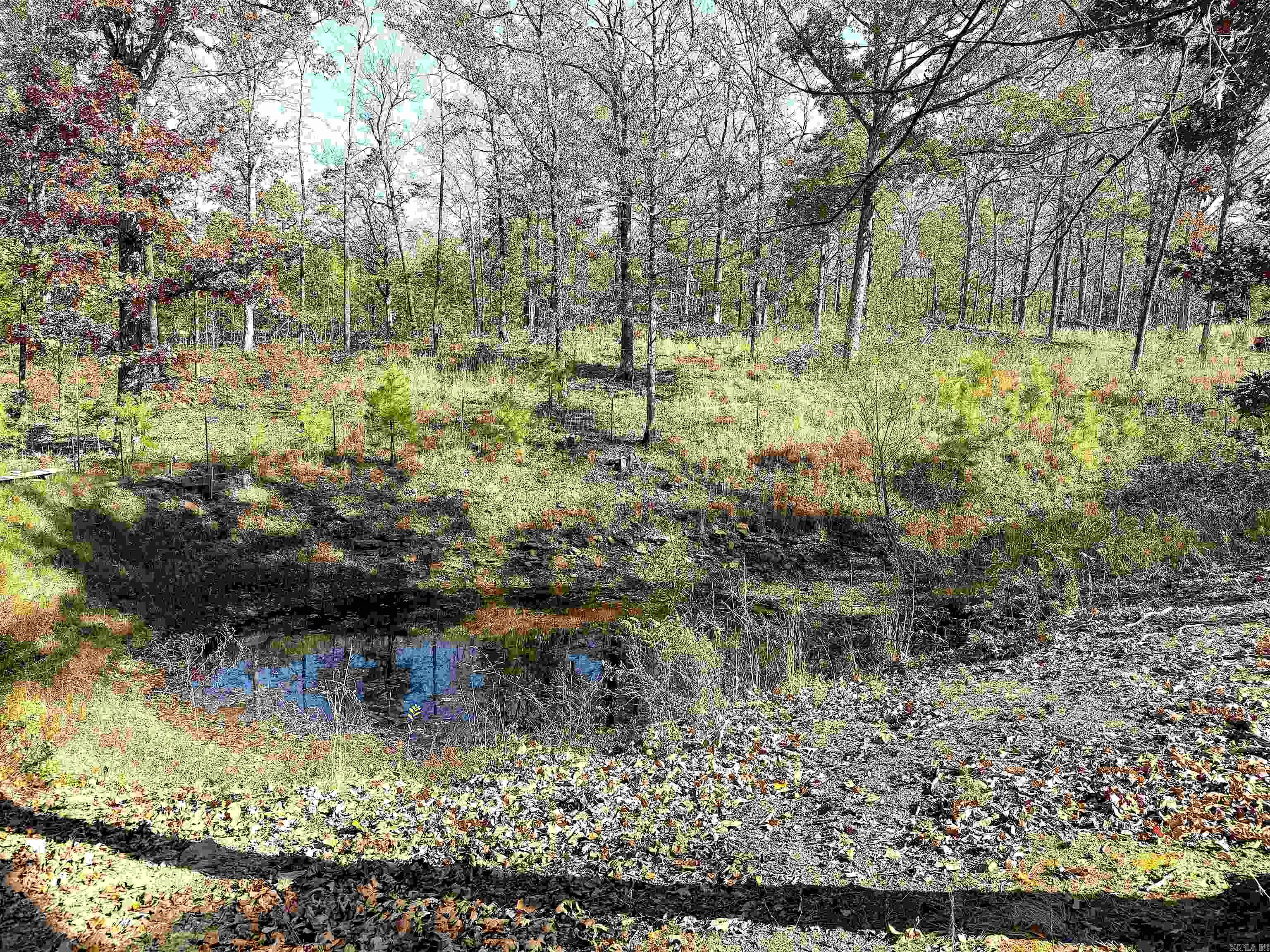 192 Lone Pine Road N Greers Ferry, AR 72067