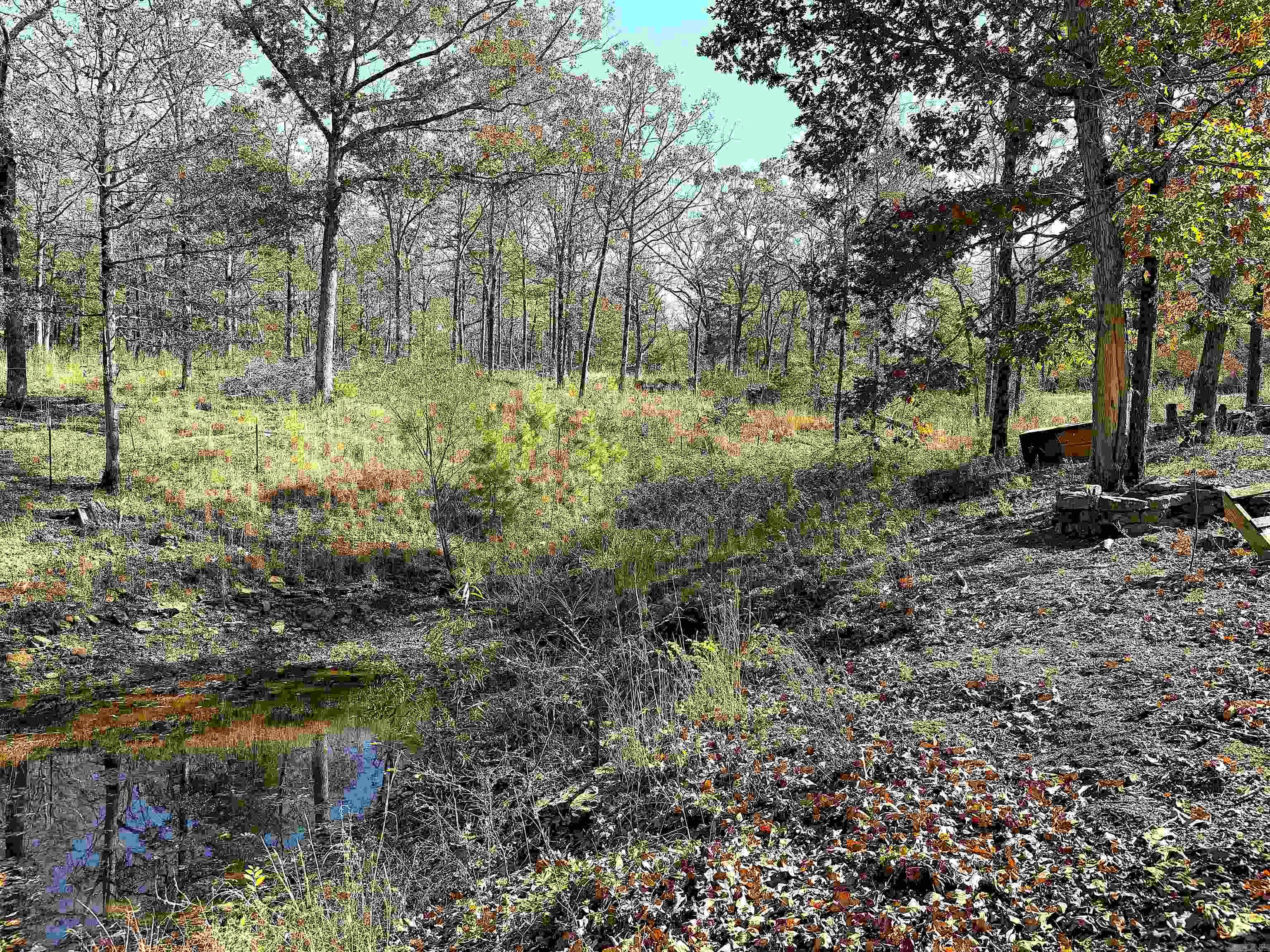 192 Lone Pine Road N Greers Ferry, AR 72067