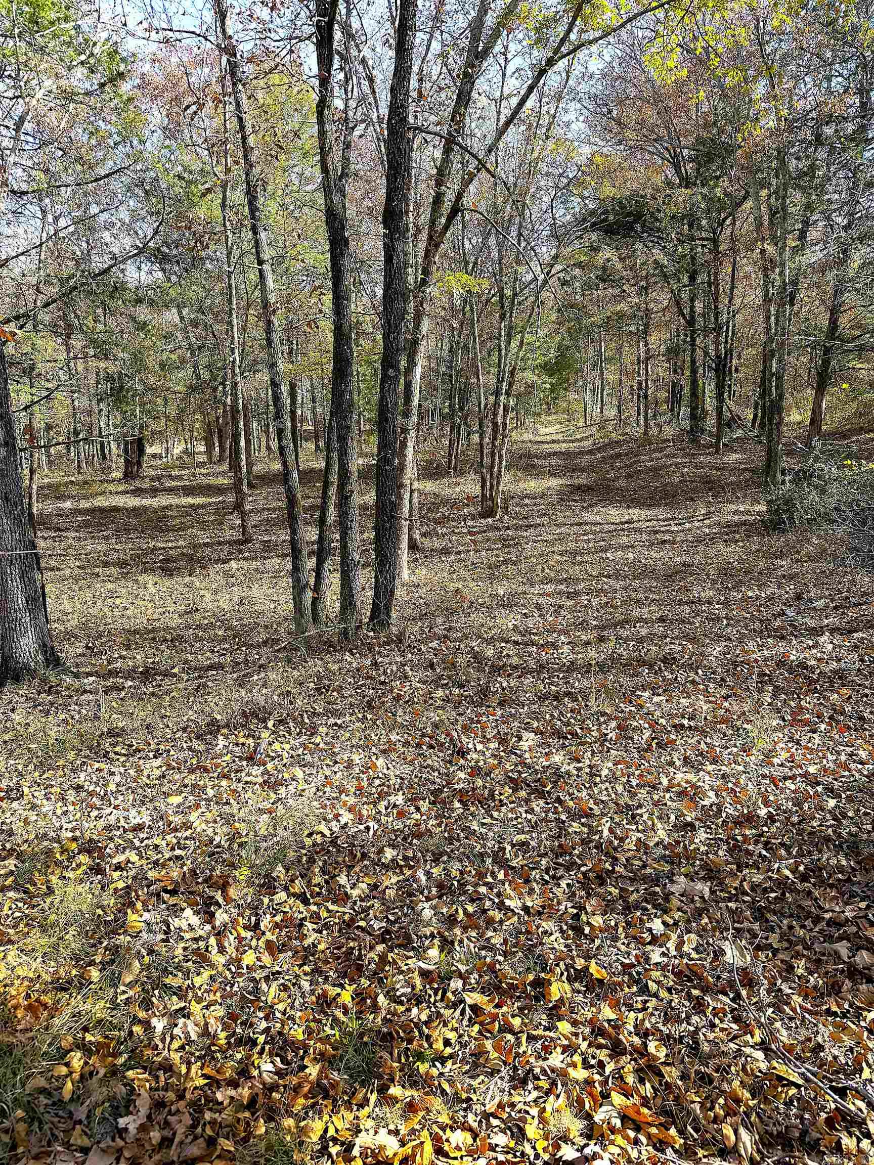 192 Lone Pine Road N Greers Ferry, AR 72067