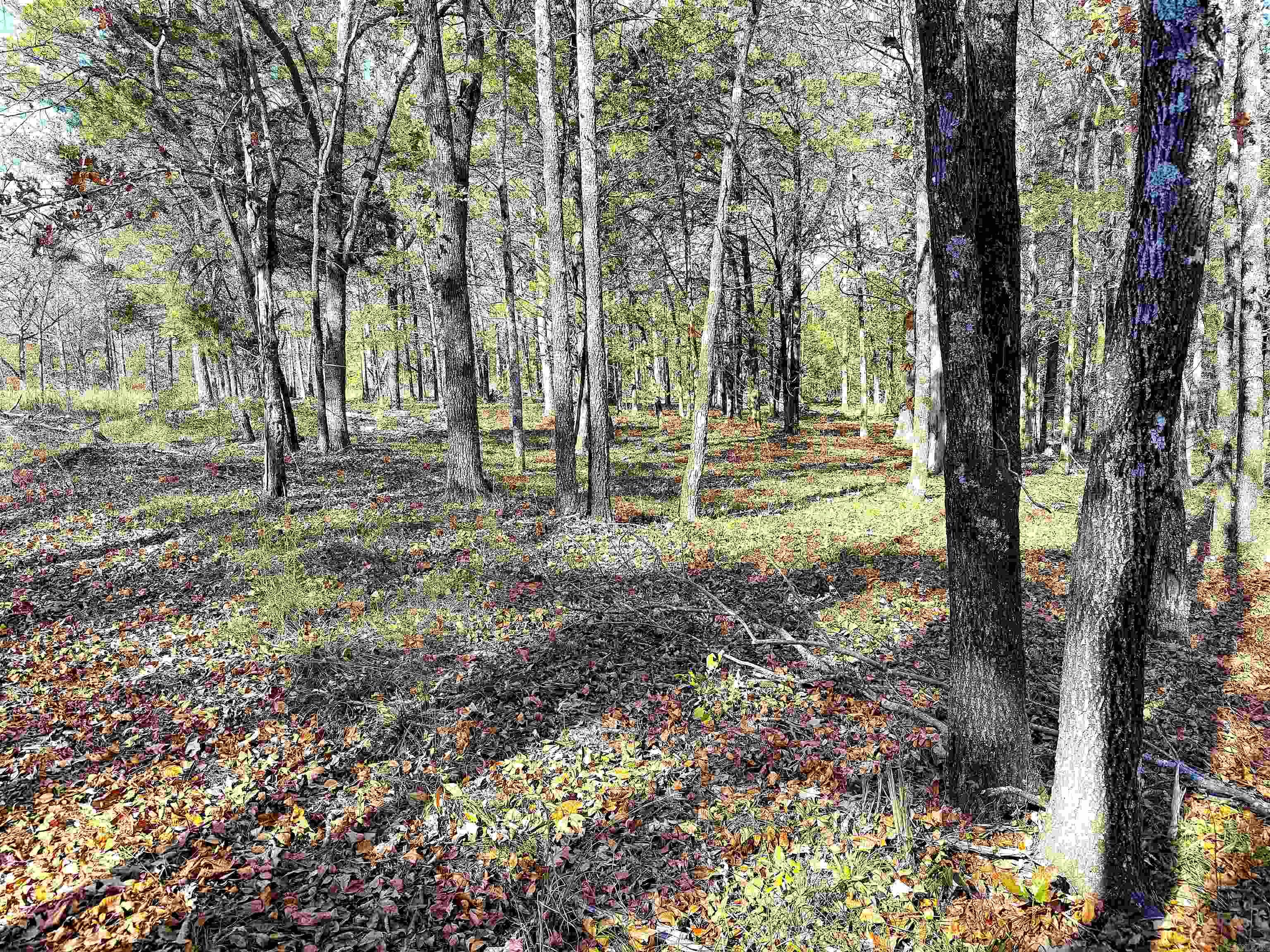 192 Lone Pine Road N Greers Ferry, AR 72067