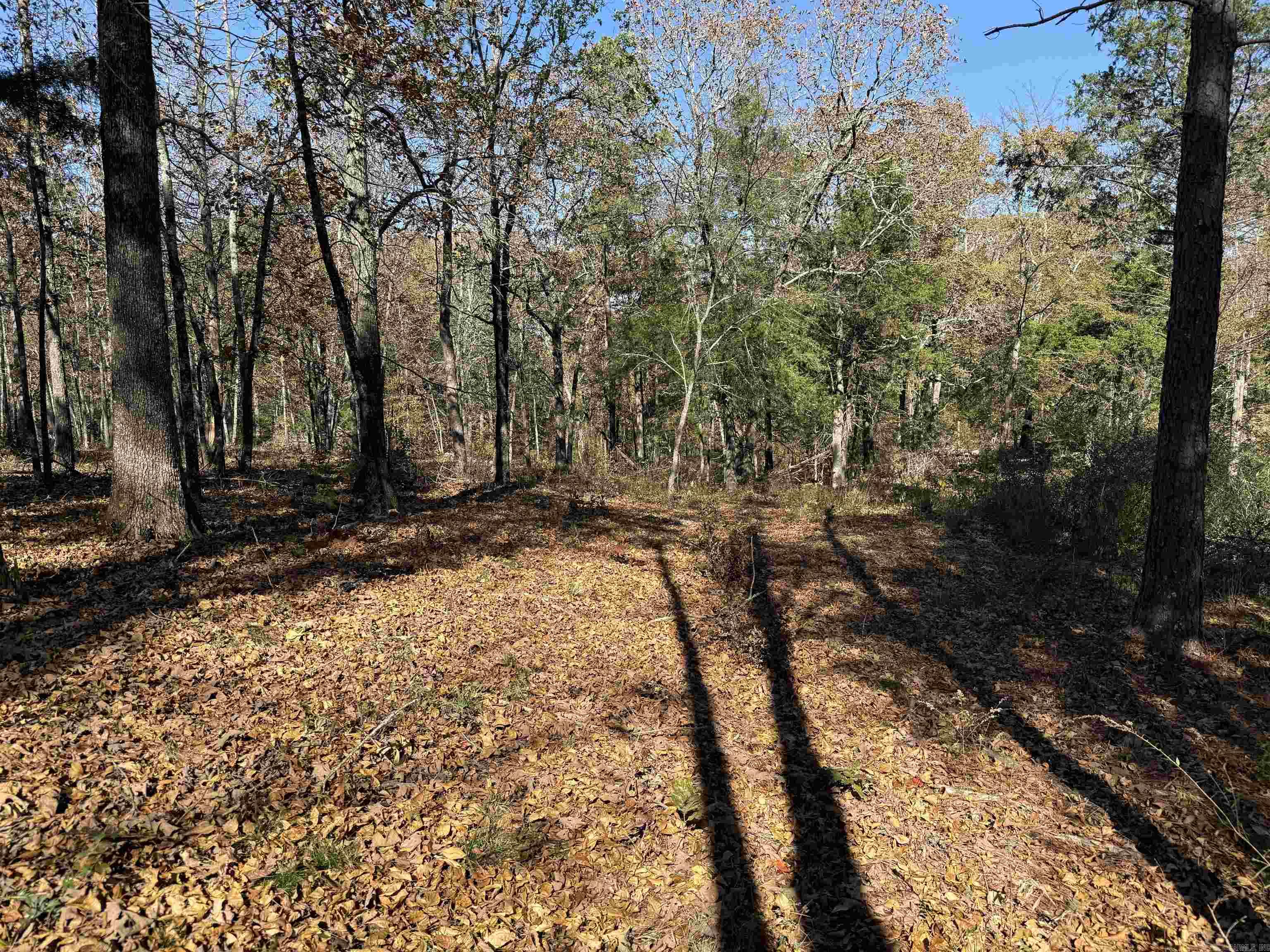 192 Lone Pine Road N Greers Ferry, AR 72067