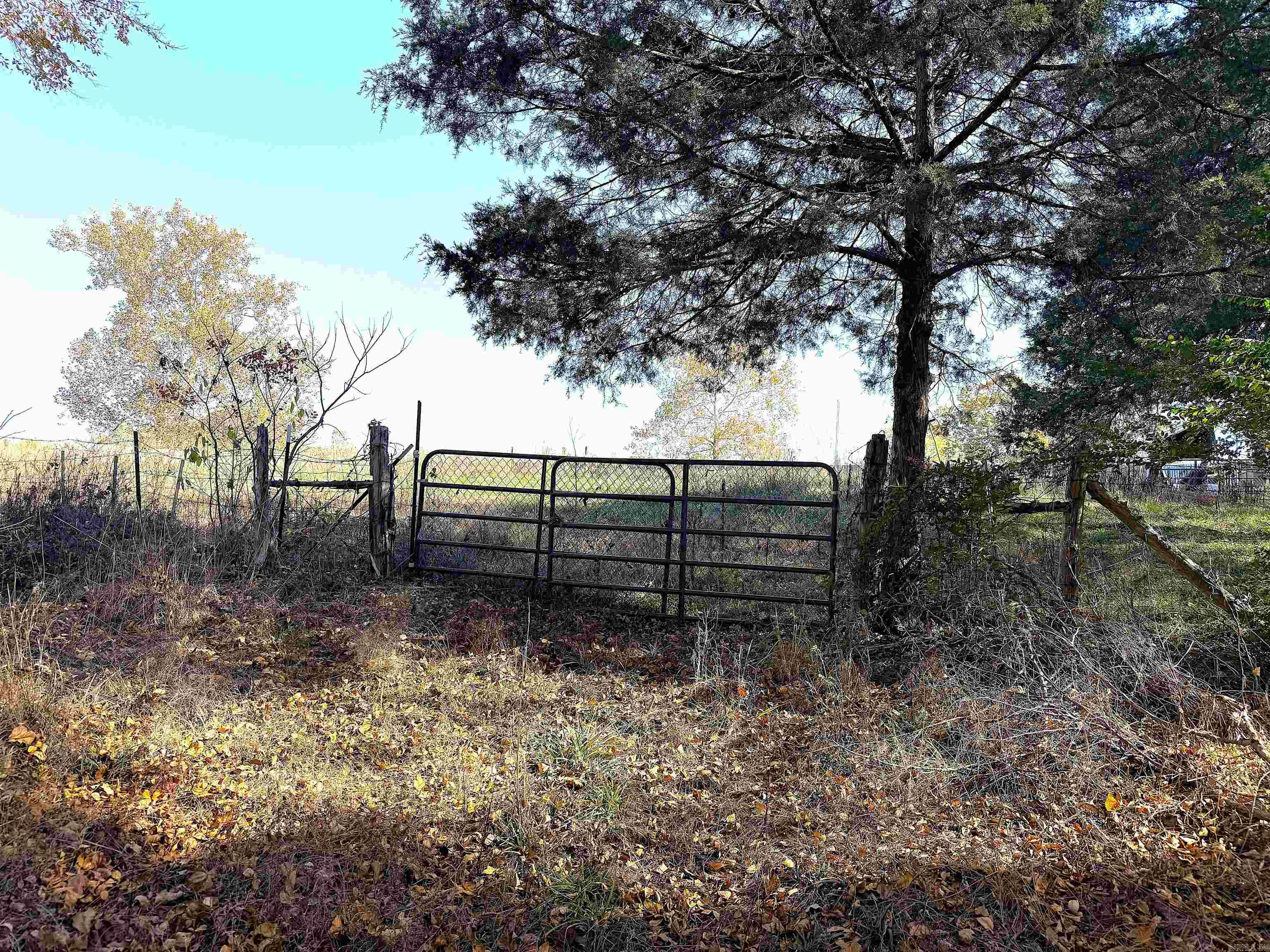 192 Lone Pine Road N Greers Ferry, AR 72067