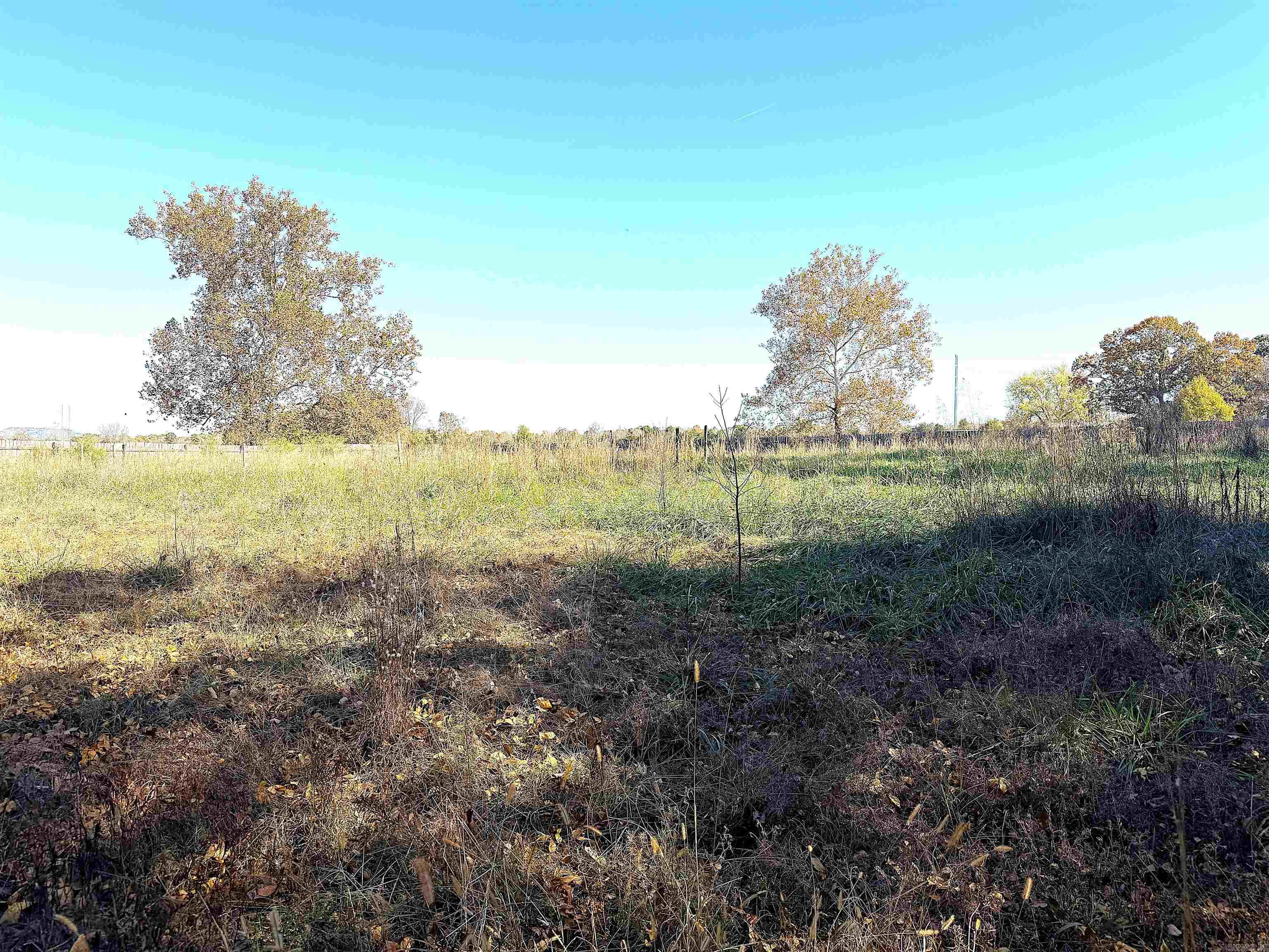 192 Lone Pine Road N Greers Ferry, AR 72067