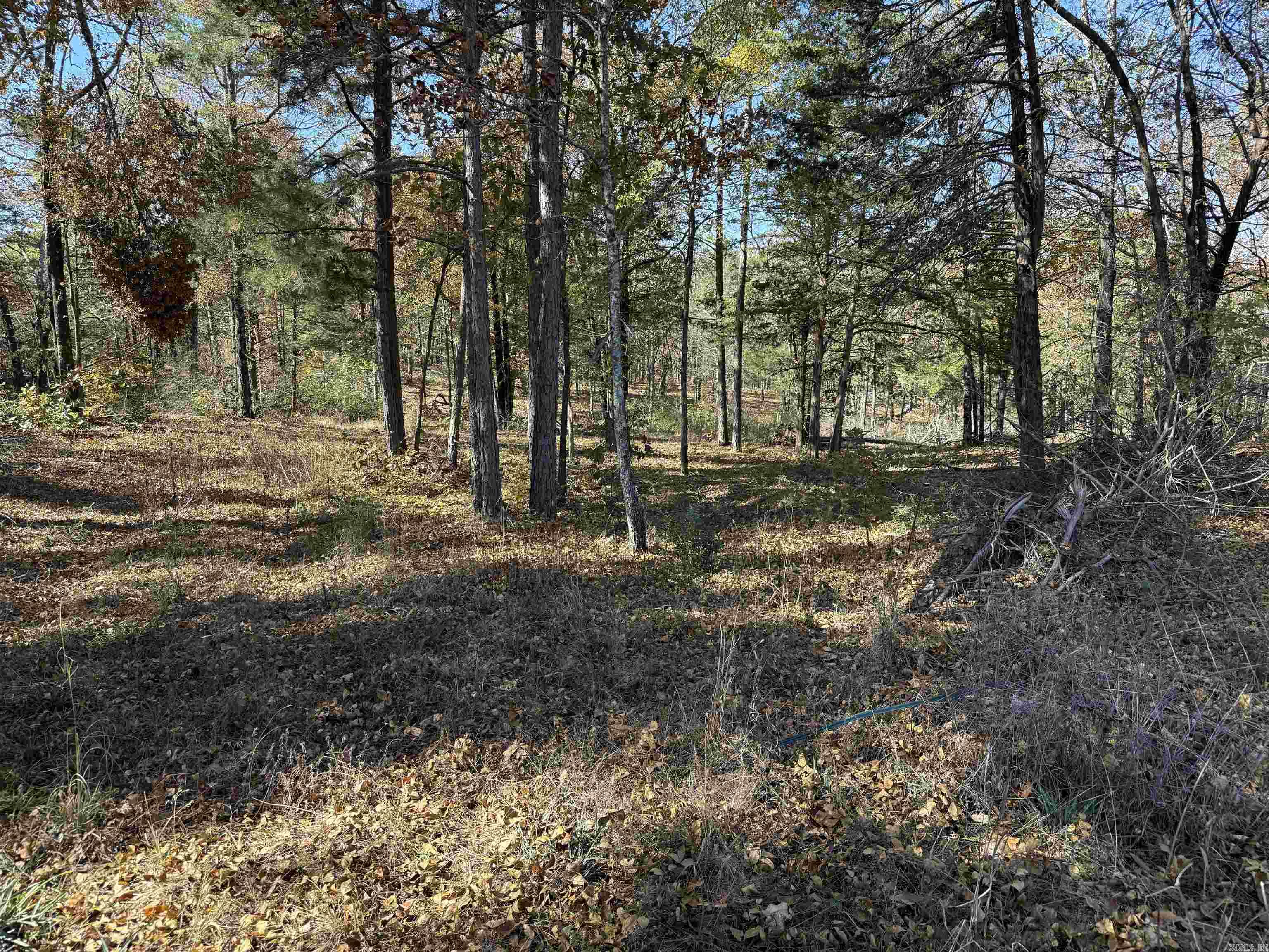 192 Lone Pine Road N Greers Ferry, AR 72067