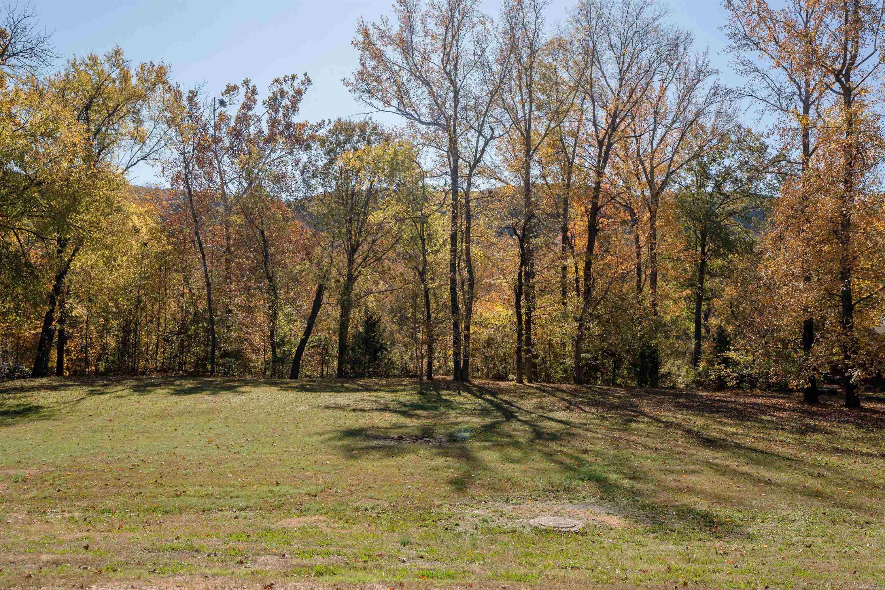 214 Primrose Creek  Heber Springs, AR