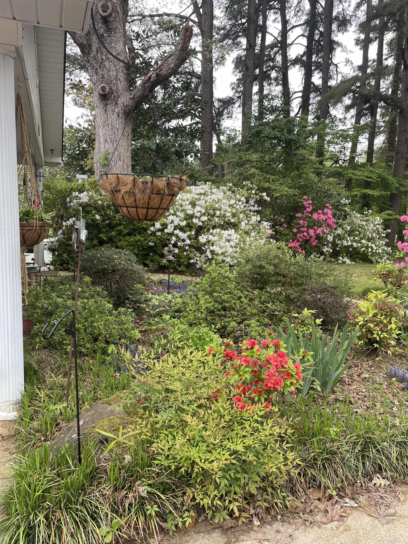 3177 Highway 24  Camden, AR