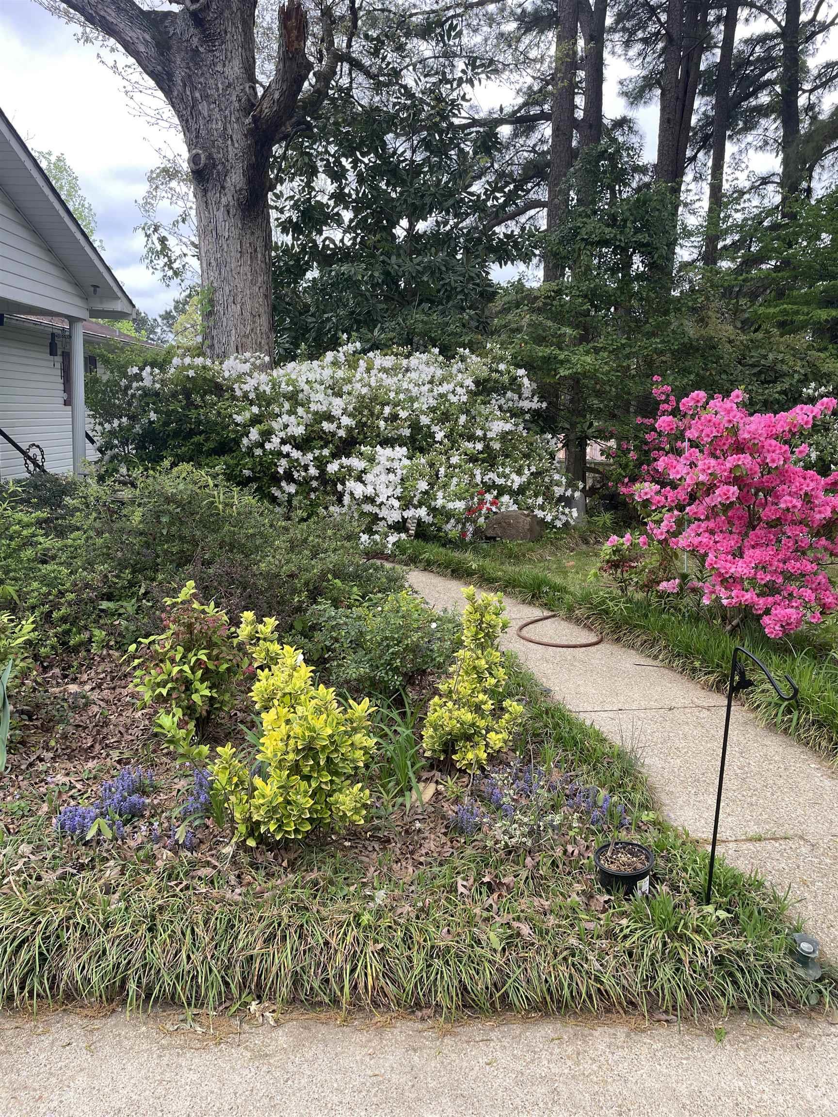 3177 Highway 24  Camden, AR