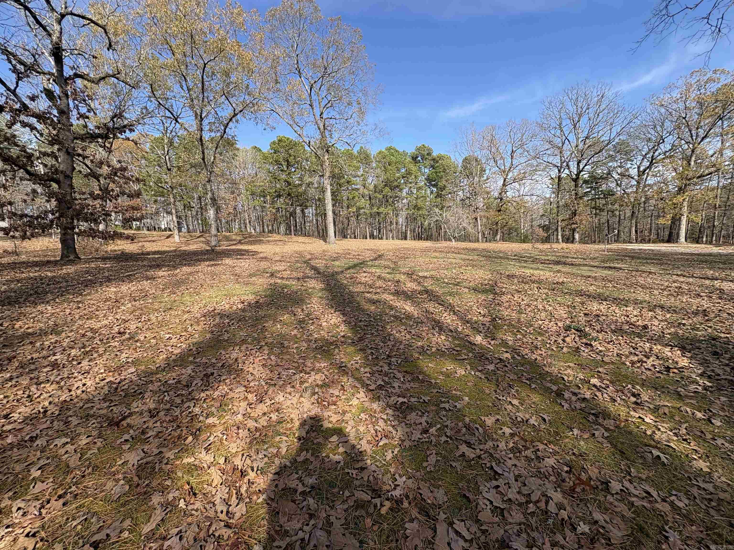 833 S Avilla Heights Alexander, AR 72002