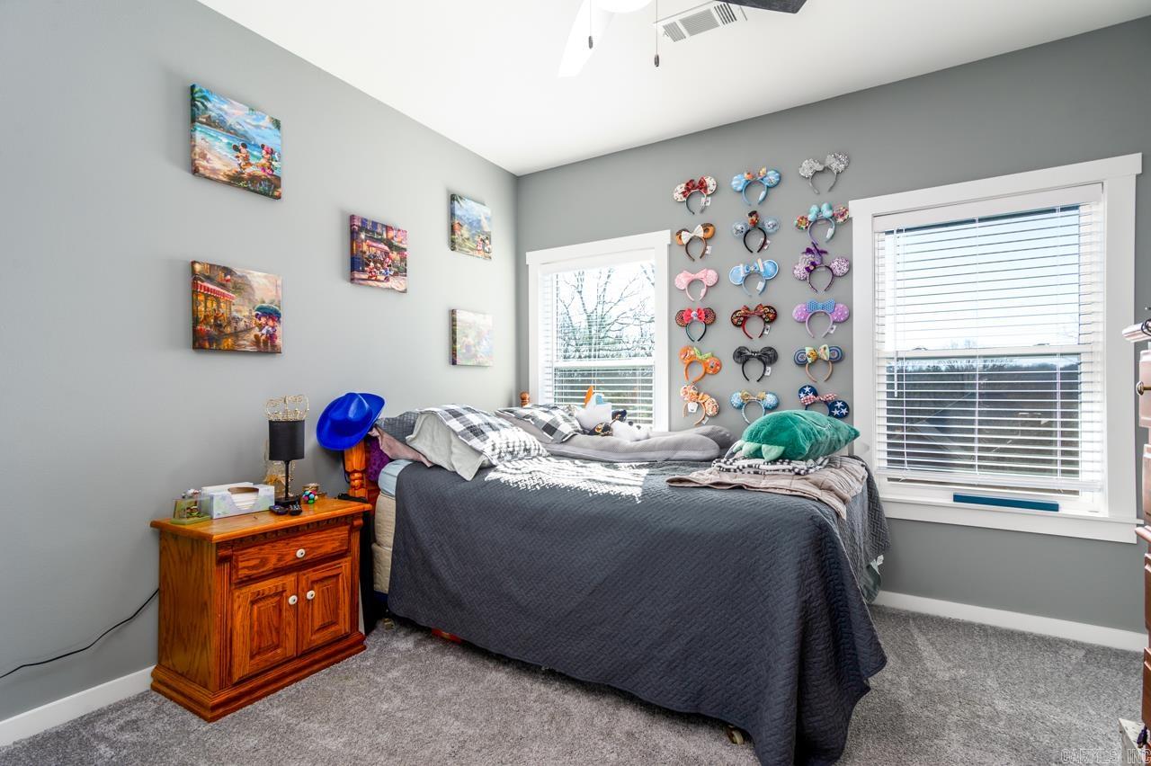 24 Blue Jay Way Conway, AR 72032