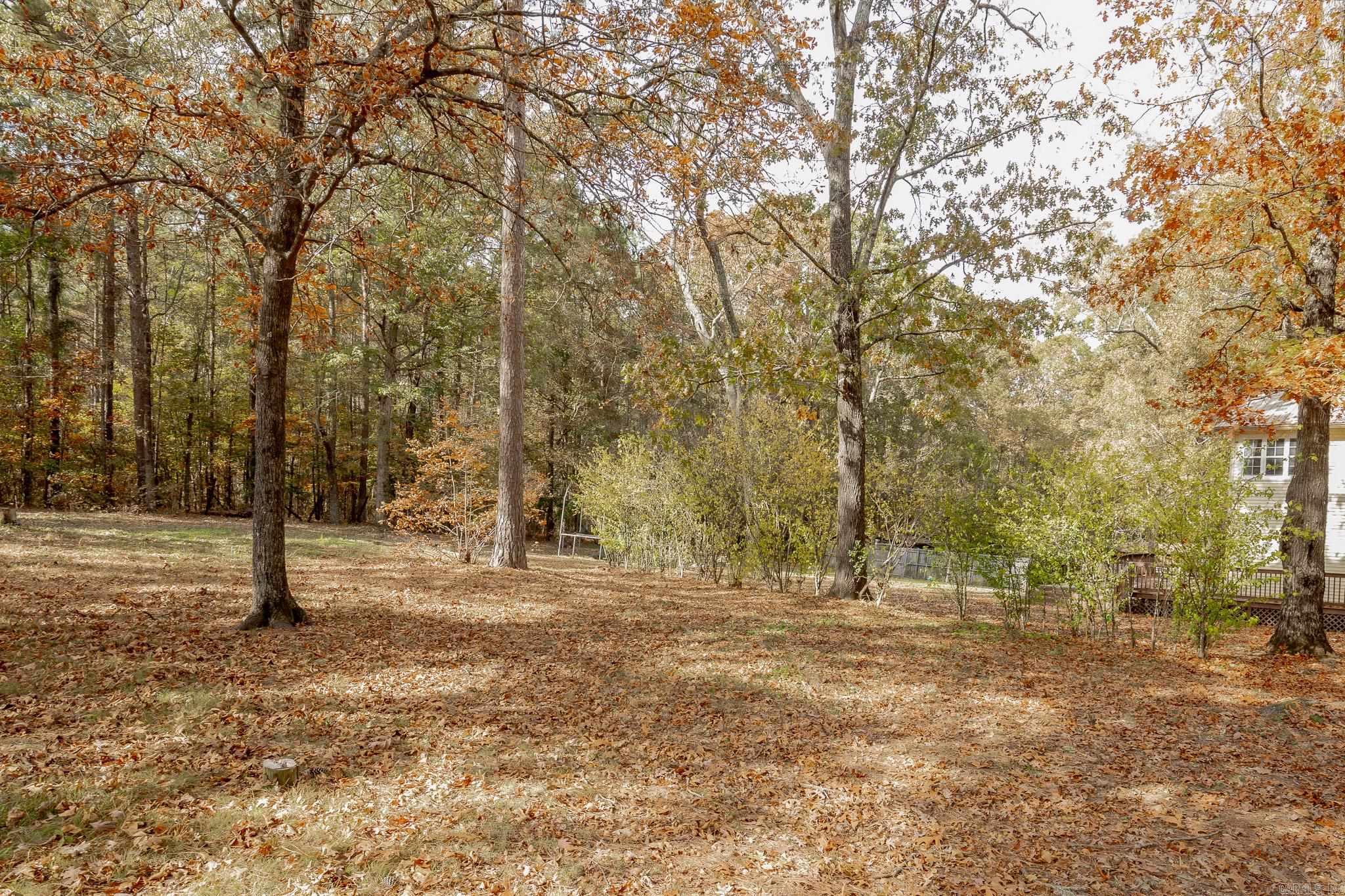 199 Grant 81 Sheridan, AR 72150