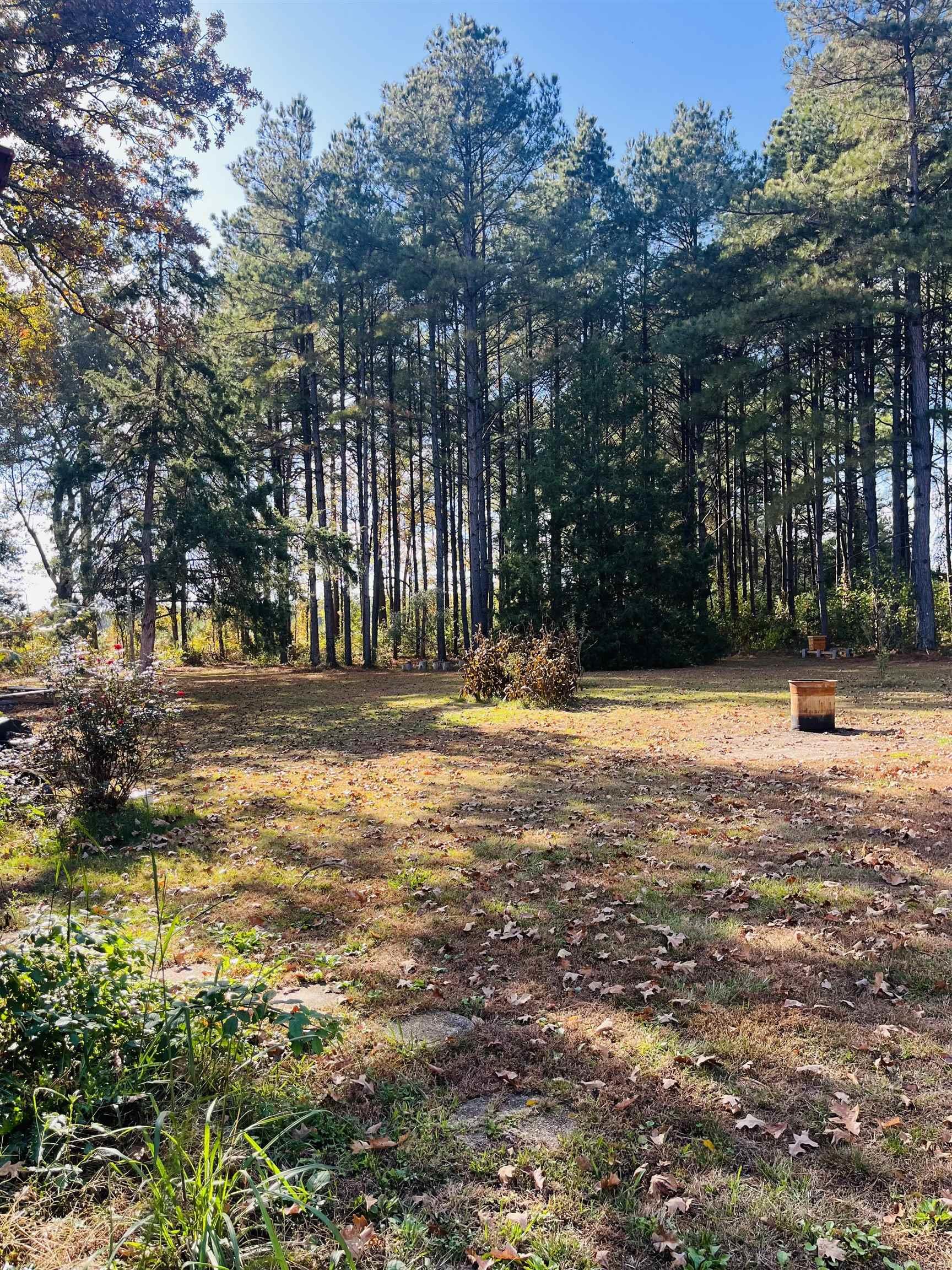 2215 S 425 Highway Monticello, AR 71655