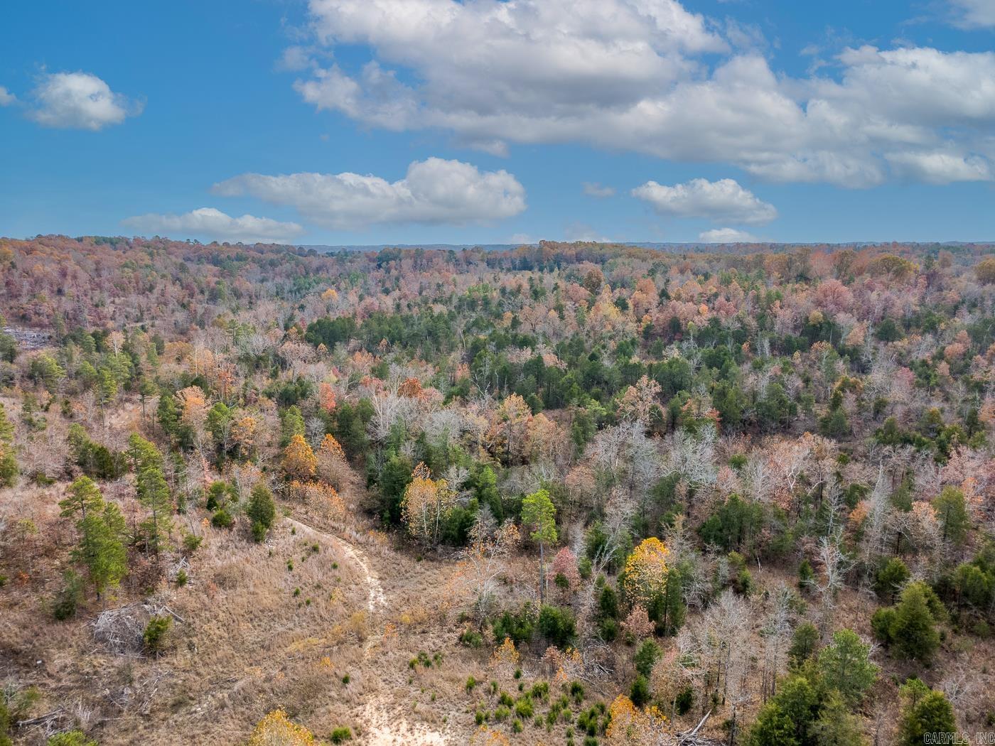 421 Tail Star Trl  Elizabeth, AR