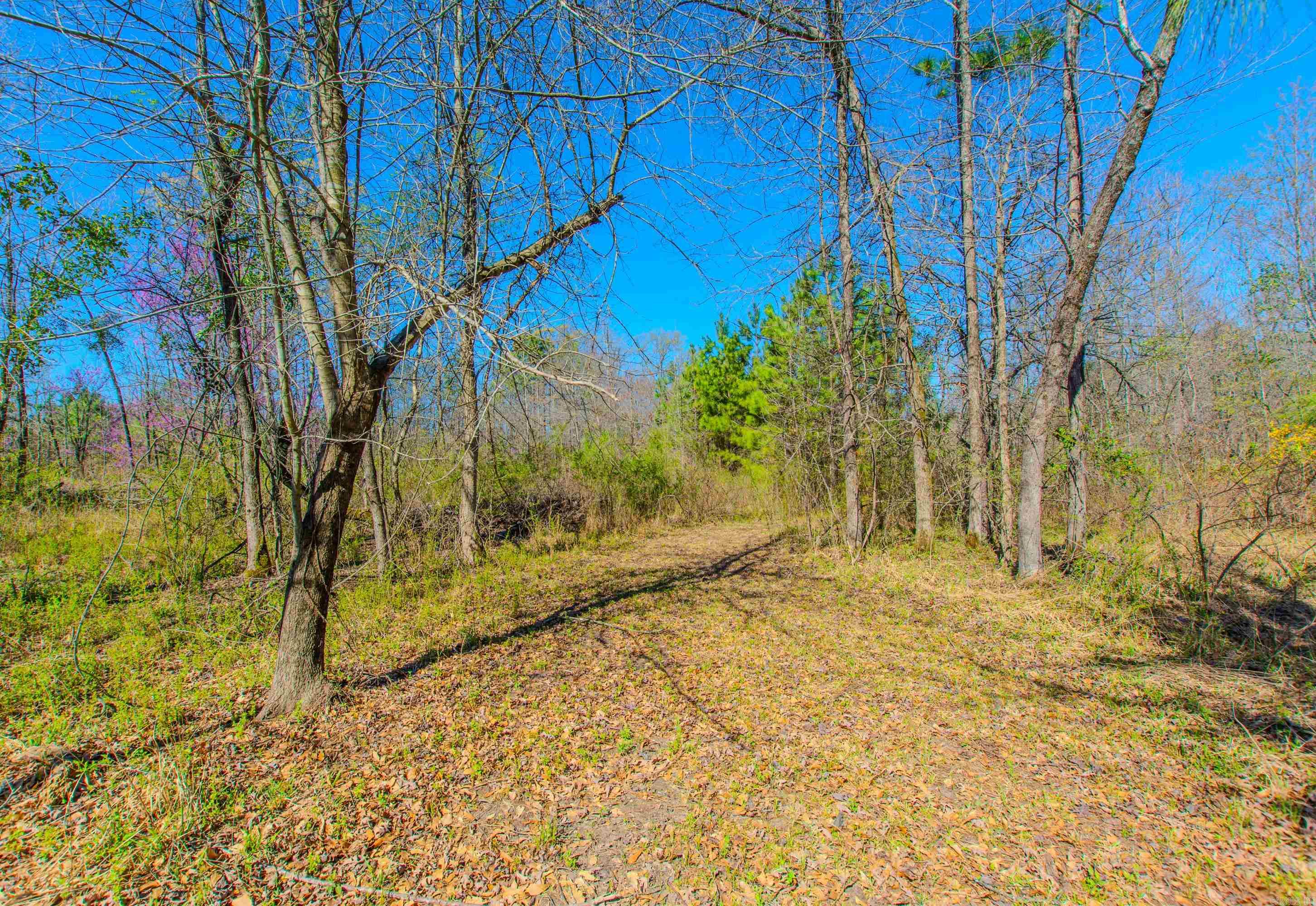 TBD S Shady  Benton, AR