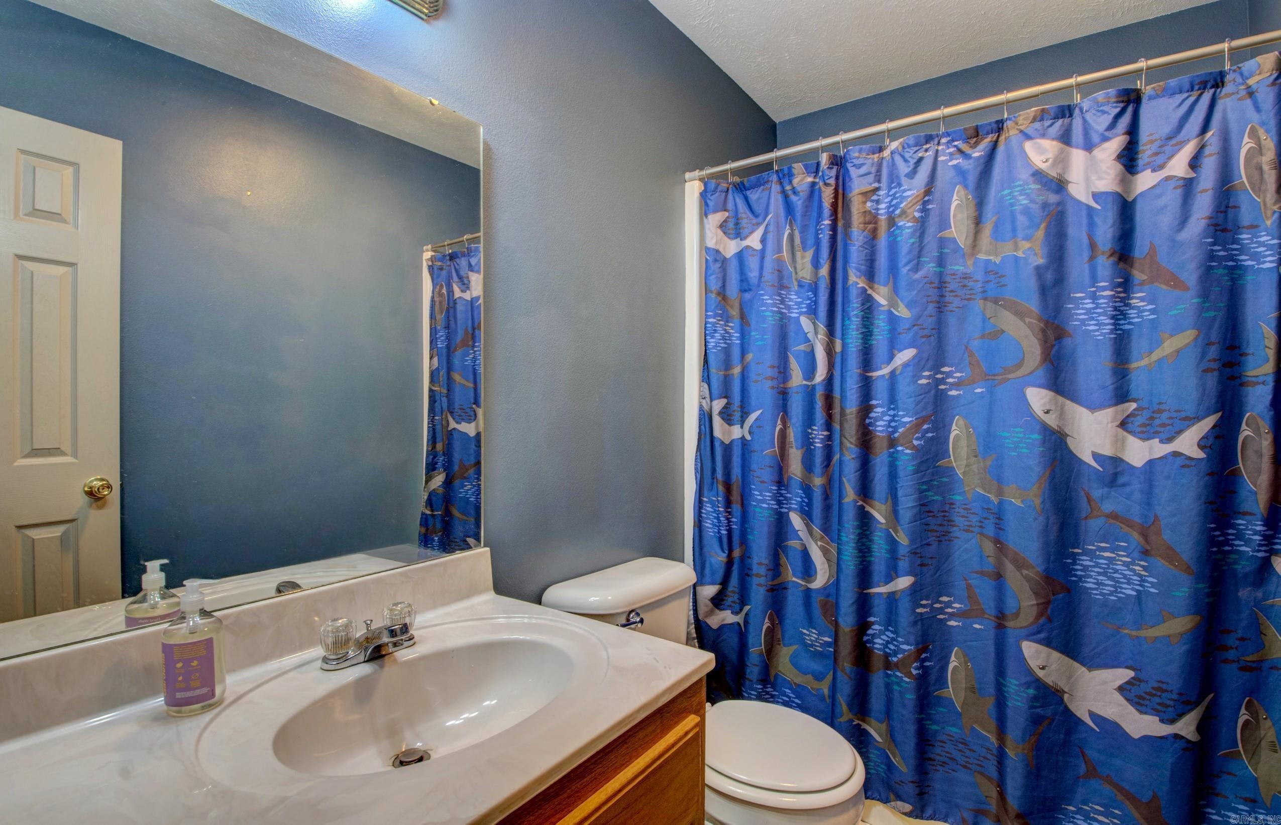 58 Ledrick Circle Mayflower, AR 72106