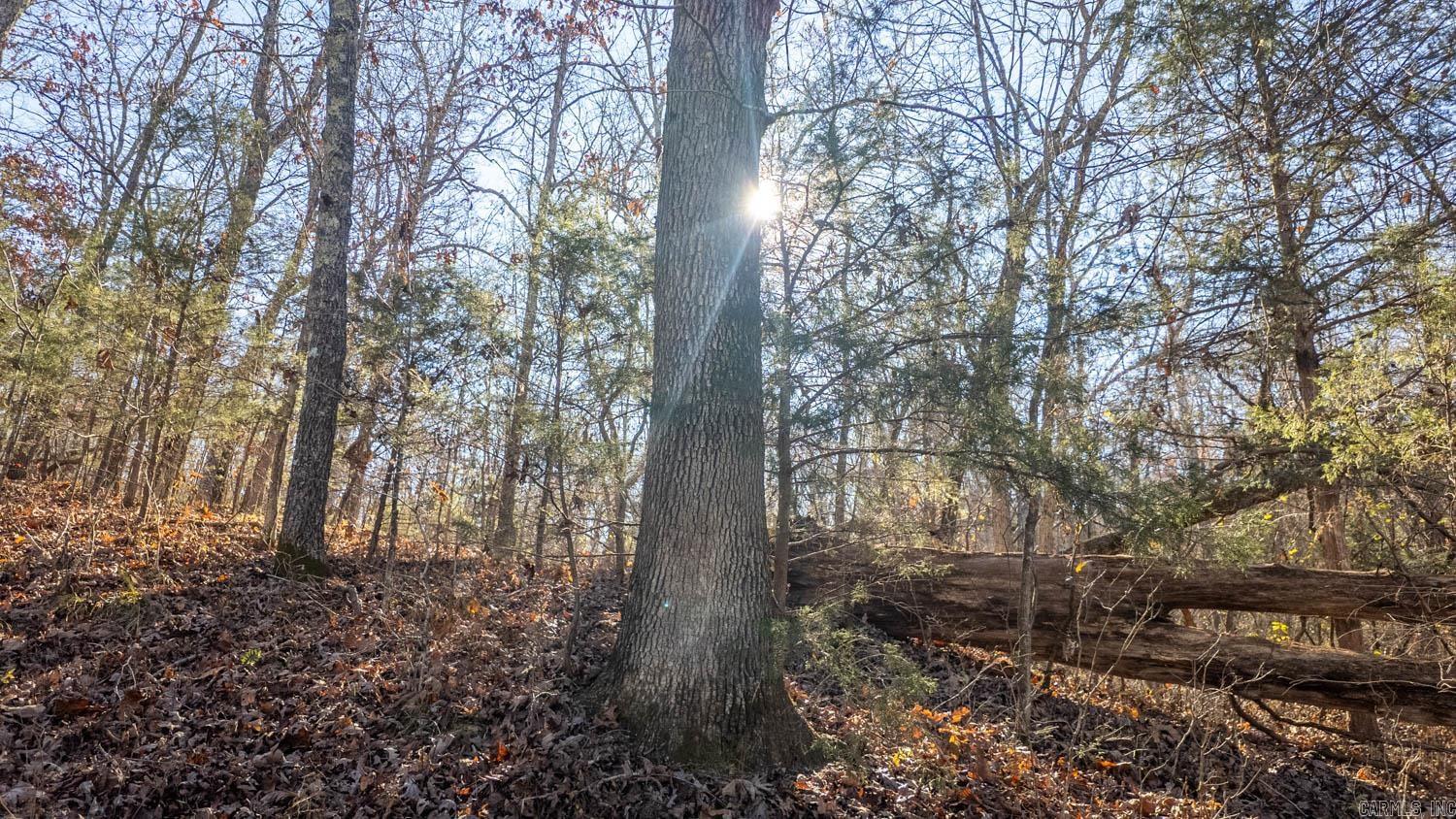 000 Timbercrest Road  Viola, AR