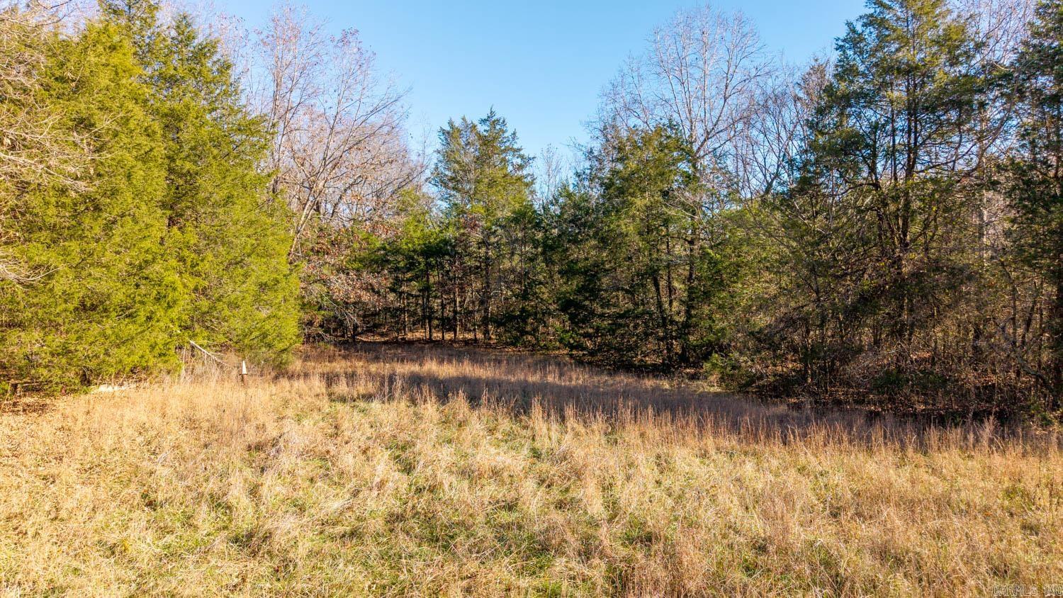 000 Timbercrest Road  Viola, AR