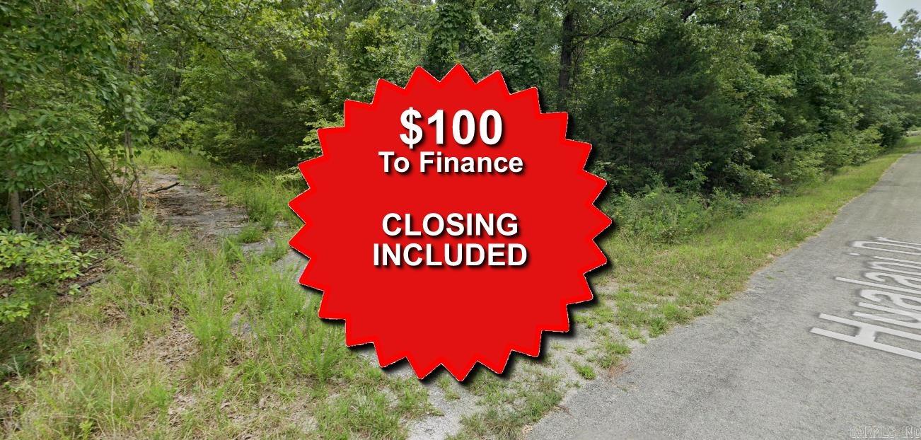 Lot 16 Andaste  Cherokee Village, AR