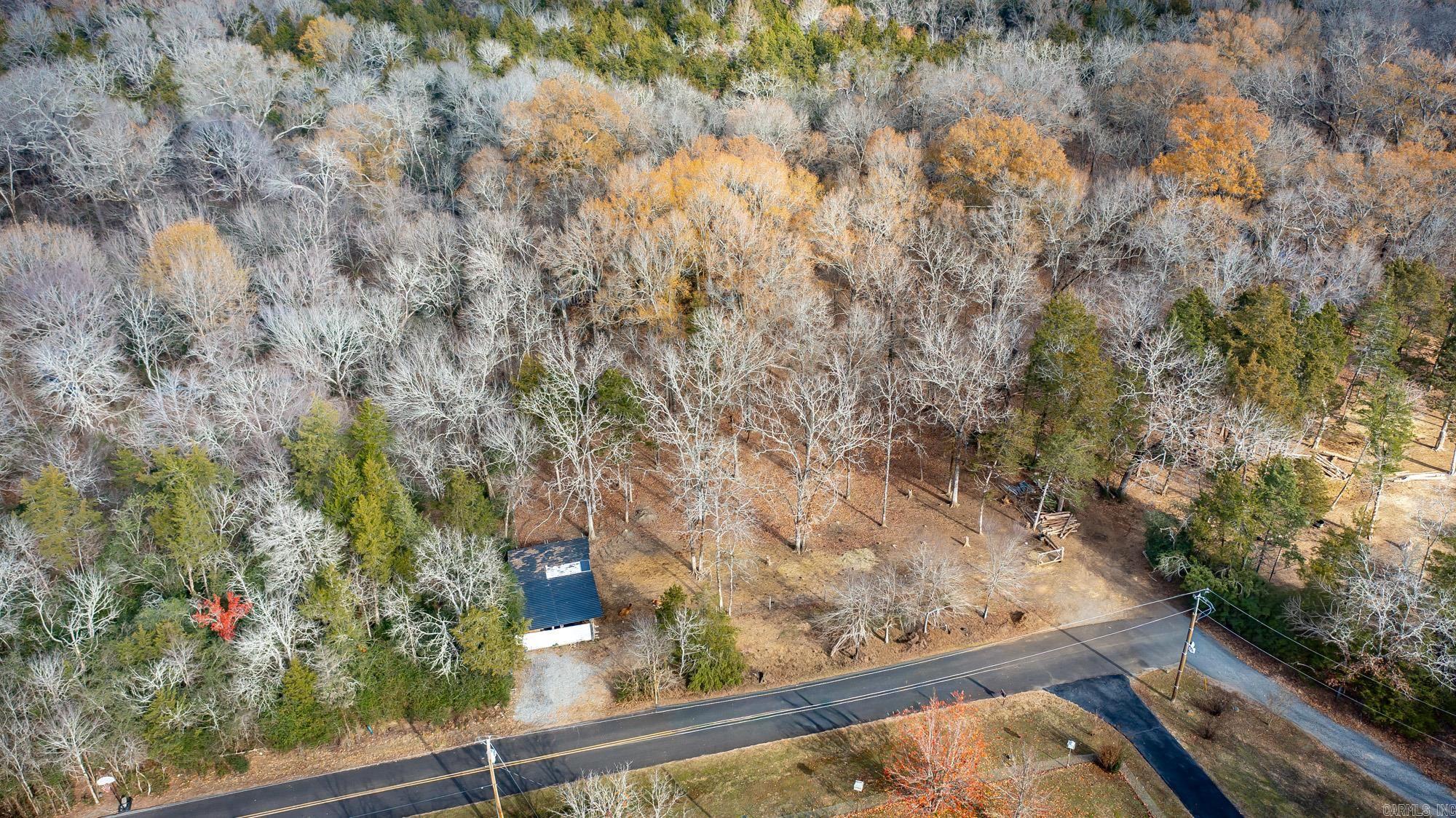 22 Primrose  Greenbrier, AR