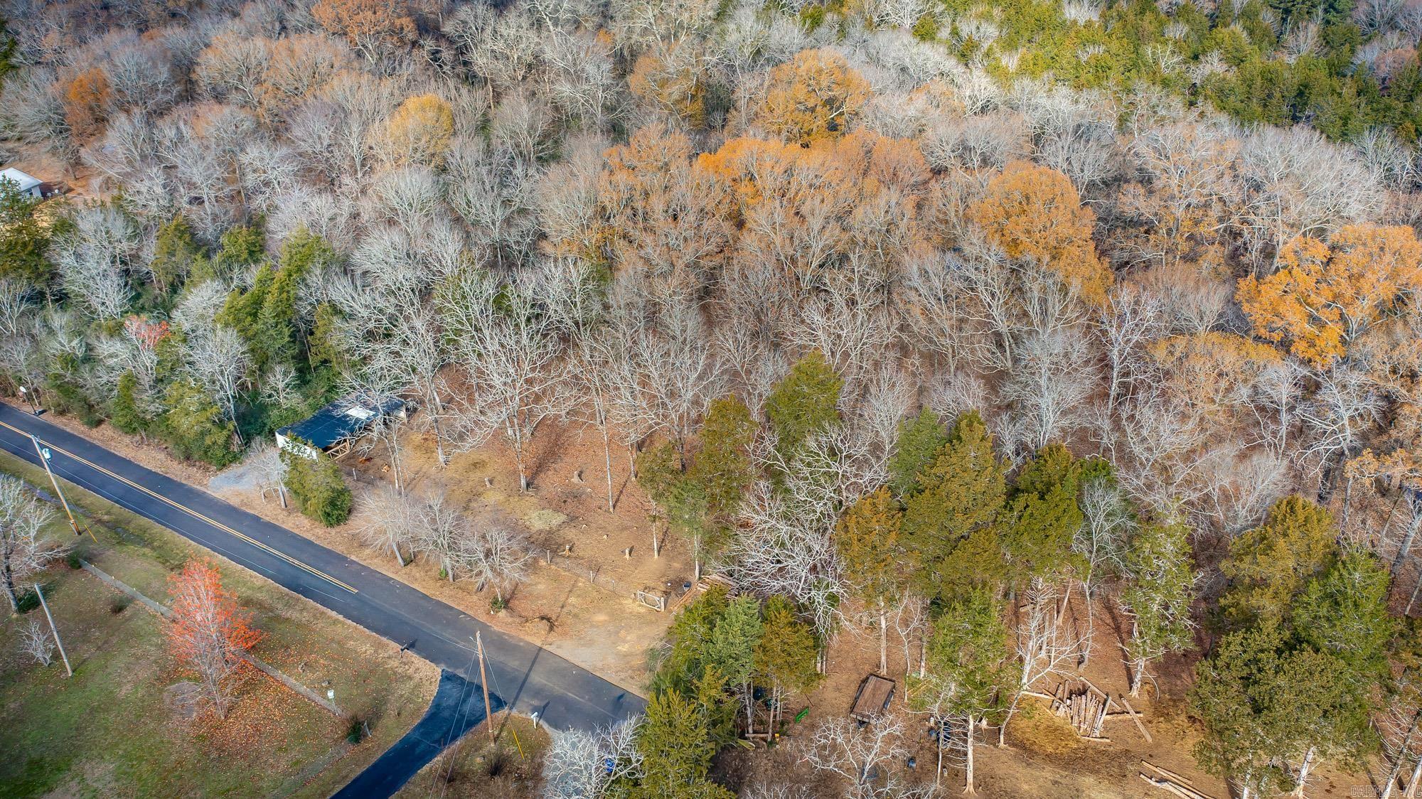 22 Primrose  Greenbrier, AR