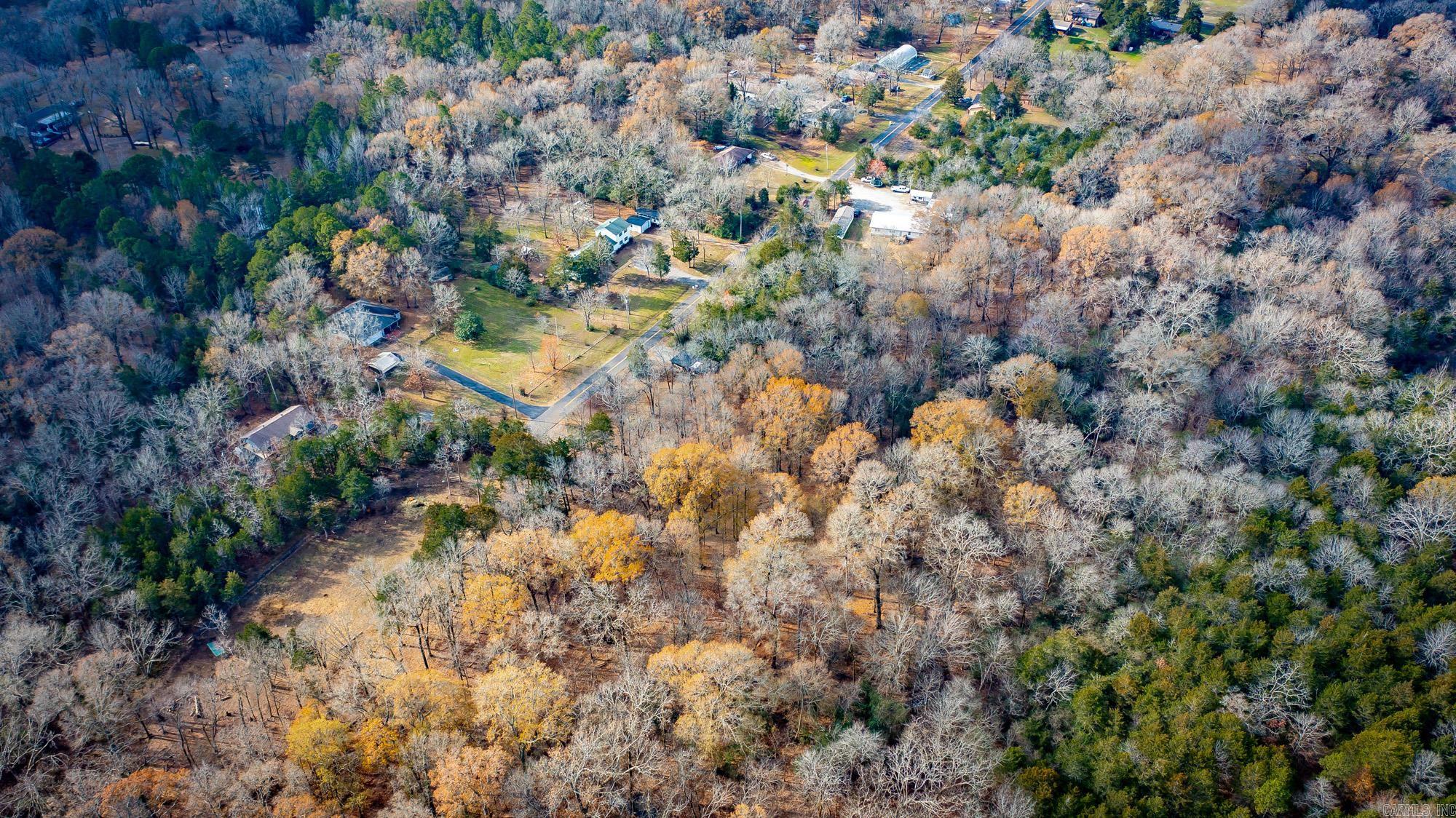 22 Primrose  Greenbrier, AR