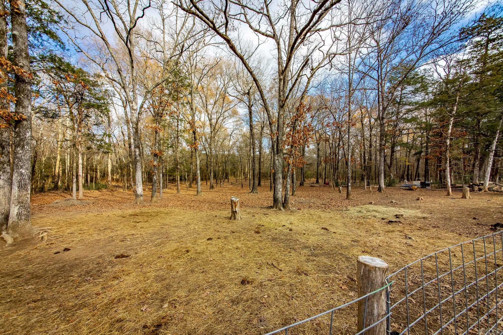 22 Primrose  Greenbrier, AR