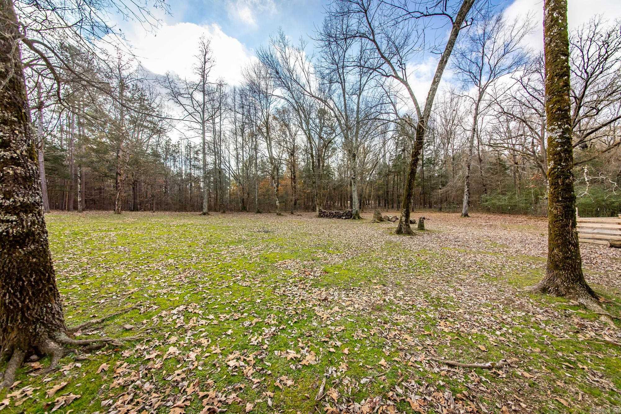 22 Primrose  Greenbrier, AR