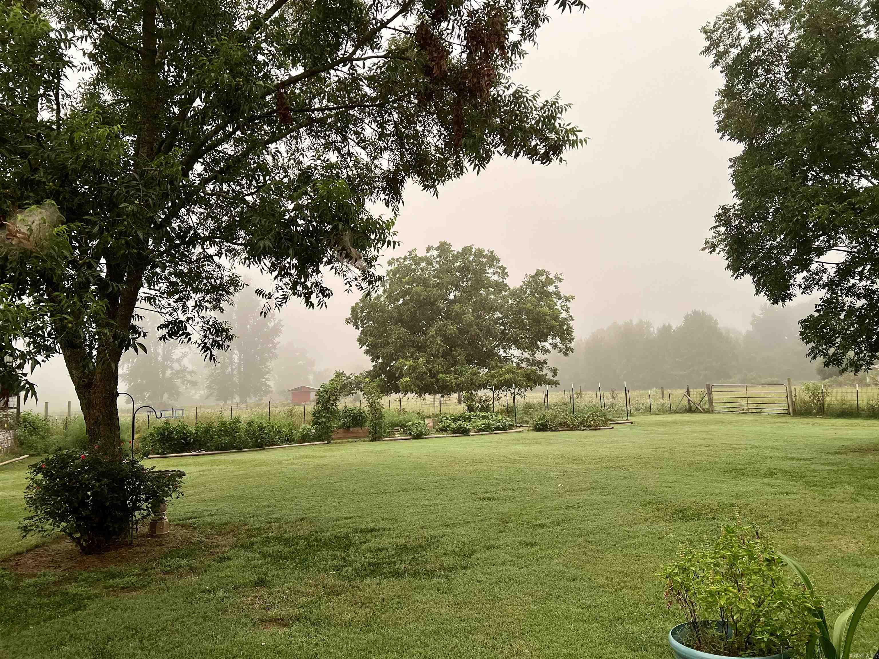 215 Williamson Boulevard Lonoke, AR 72086