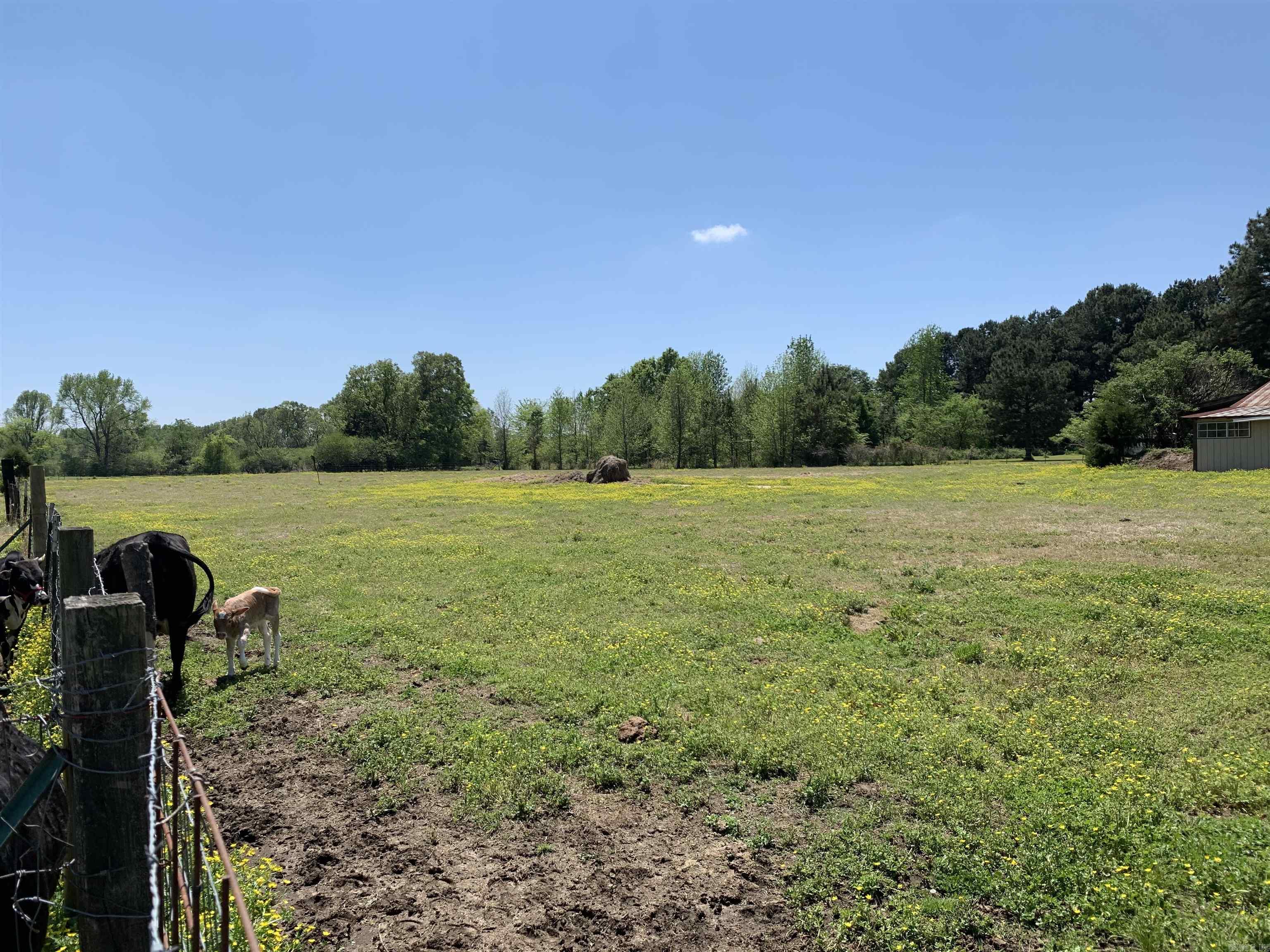 215 Williamson Boulevard Lonoke, AR 72086