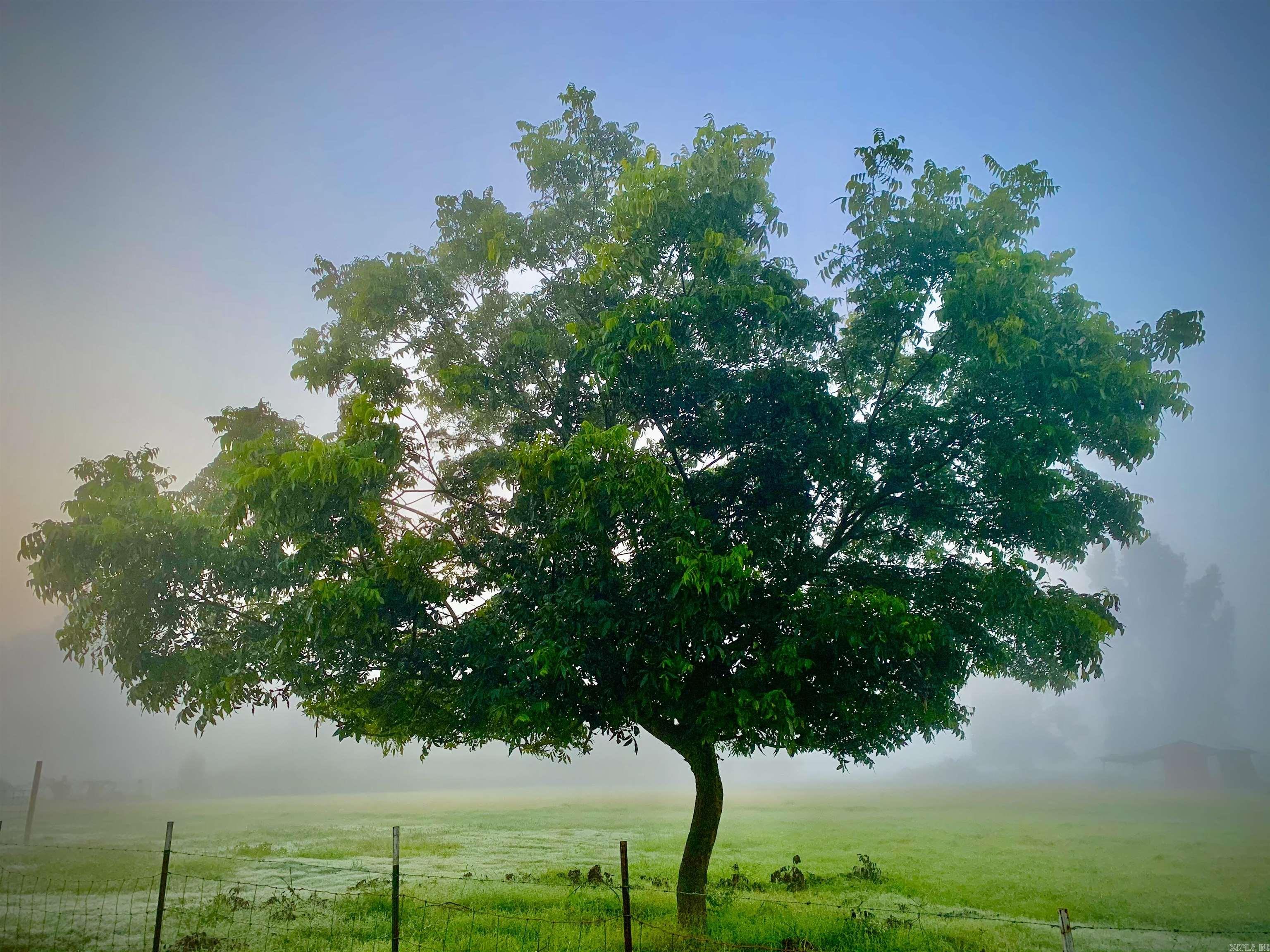 215 Williamson Boulevard Lonoke, AR 72086