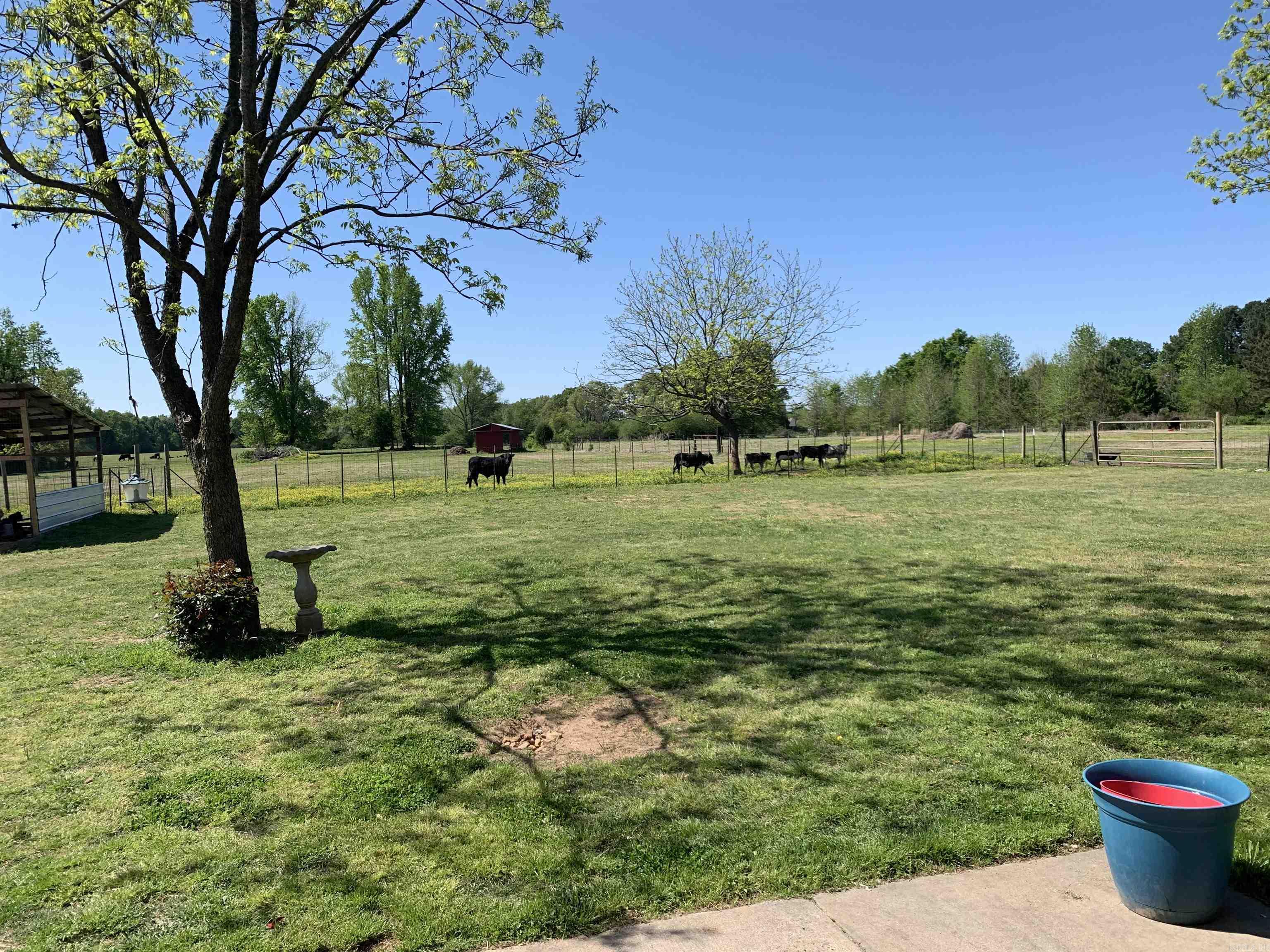 215 Williamson Boulevard Lonoke, AR 72086