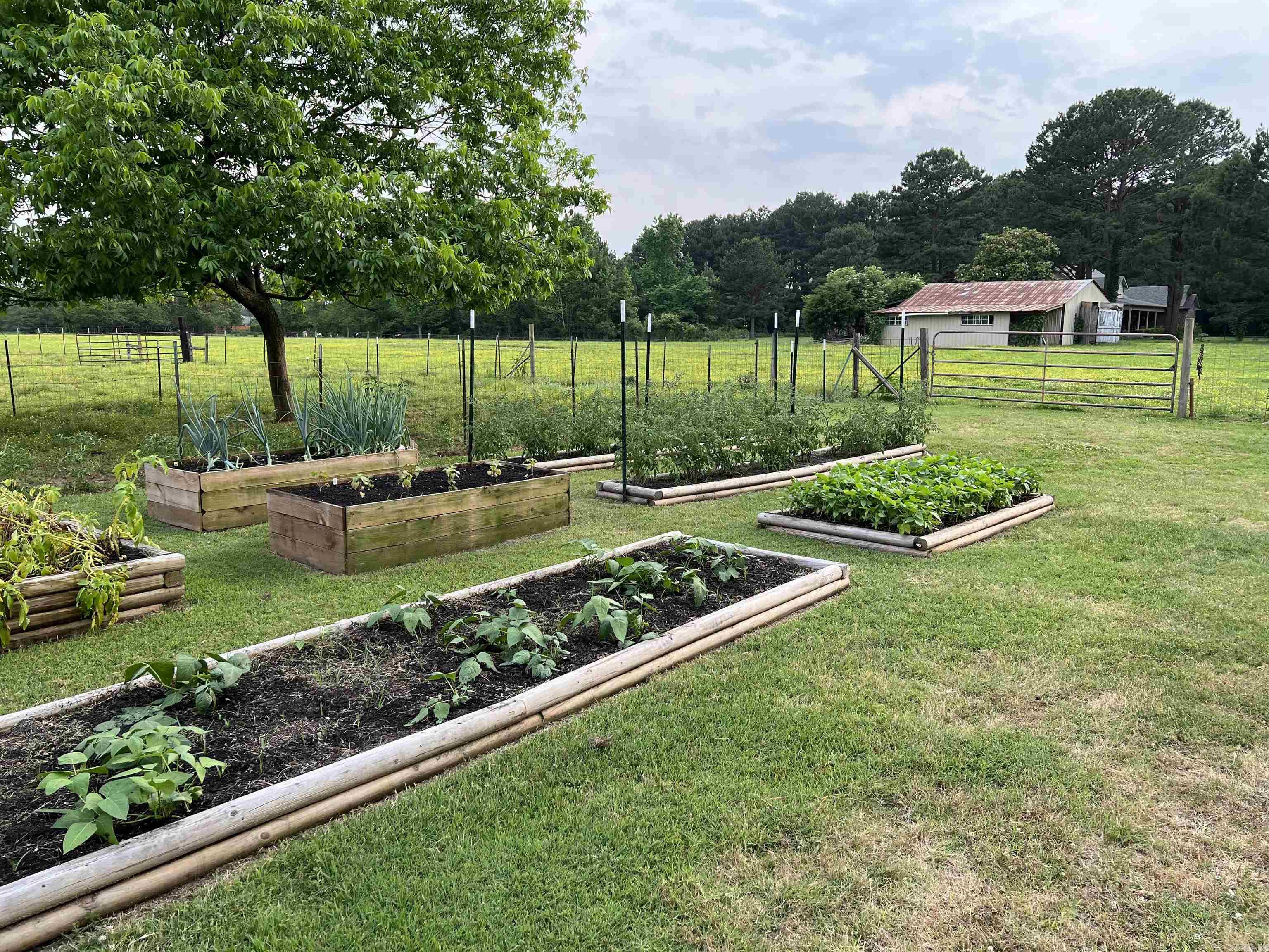 215 Williamson Boulevard Lonoke, AR 72086