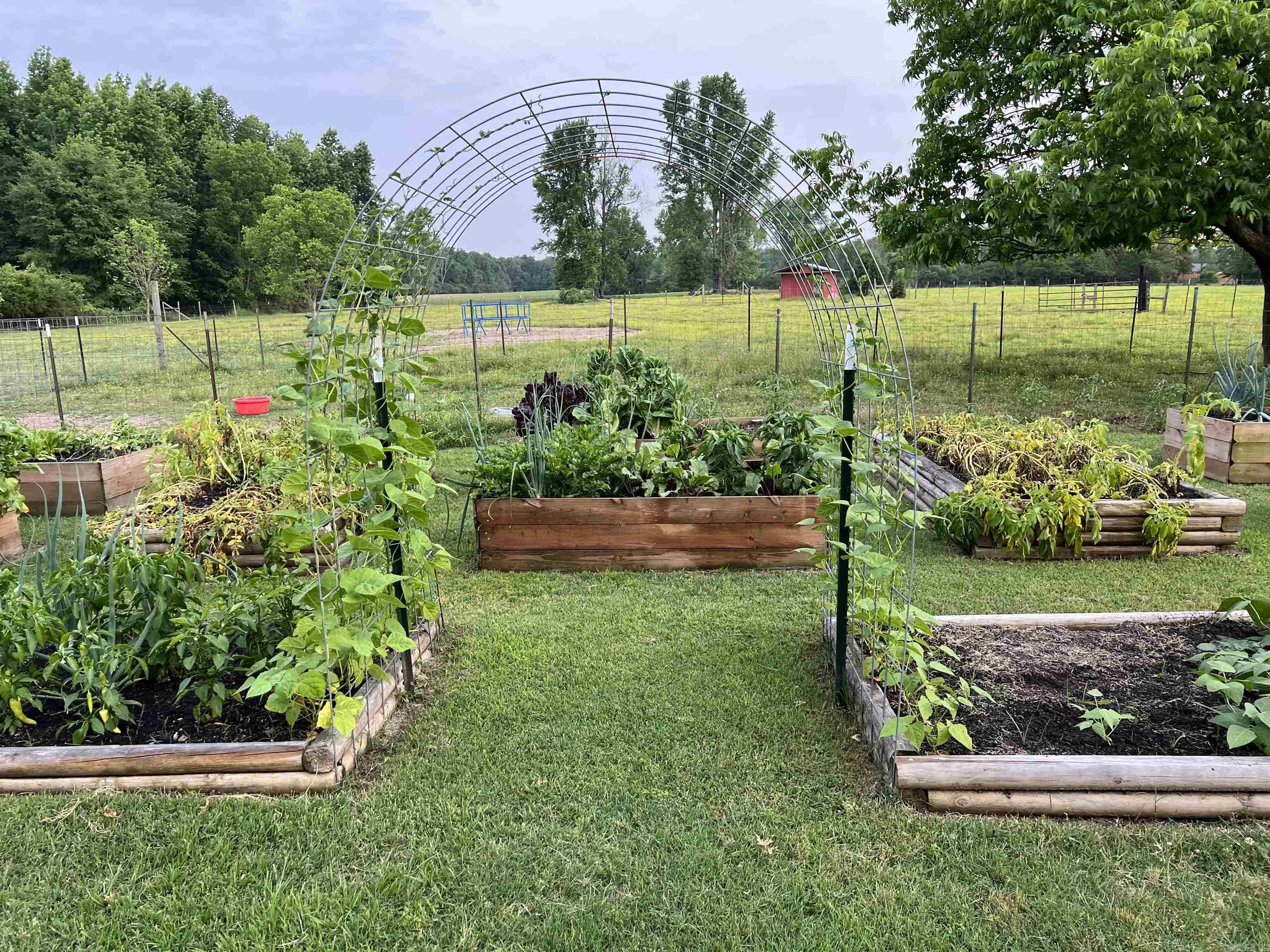 215 Williamson Boulevard Lonoke, AR 72086