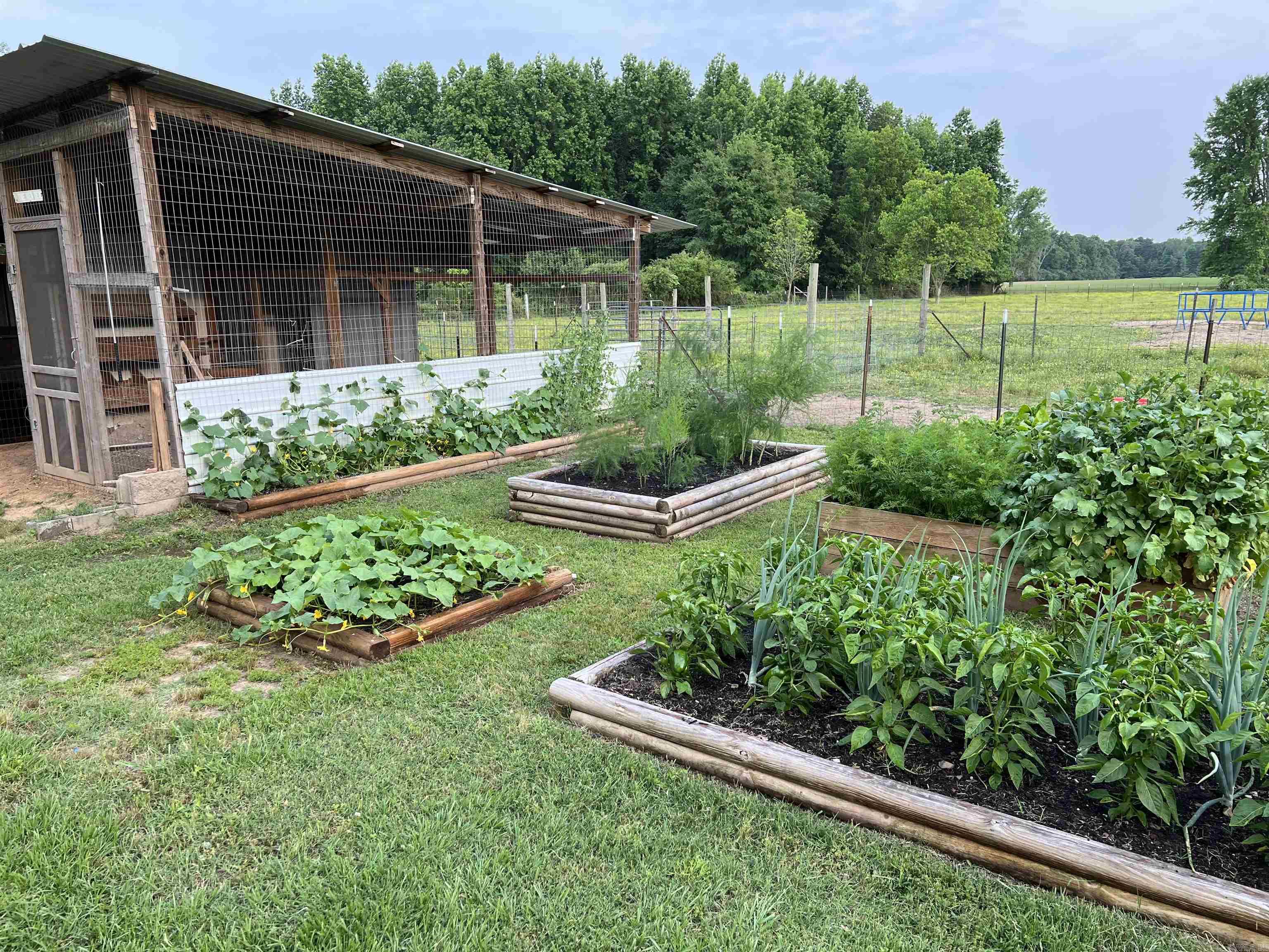 215 Williamson Boulevard Lonoke, AR 72086