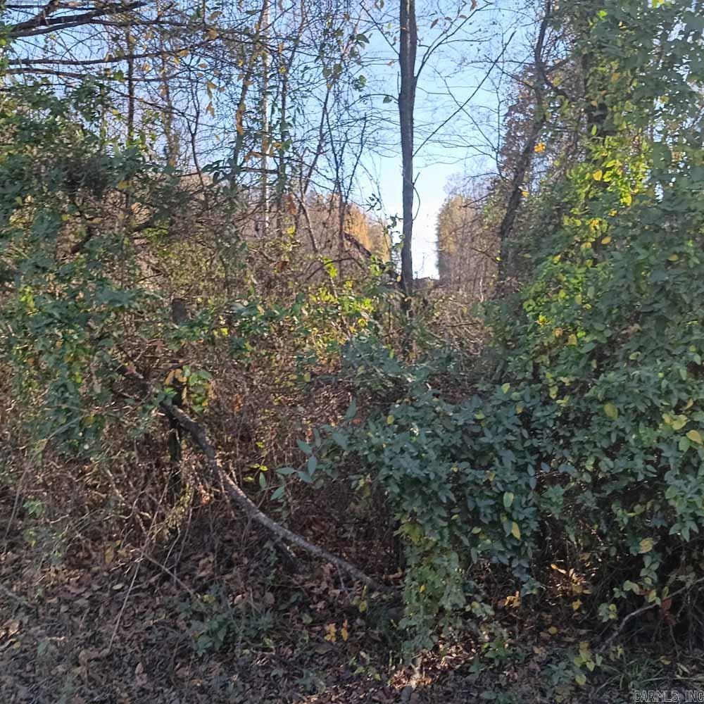 0 Brush Creek  Parks, AR