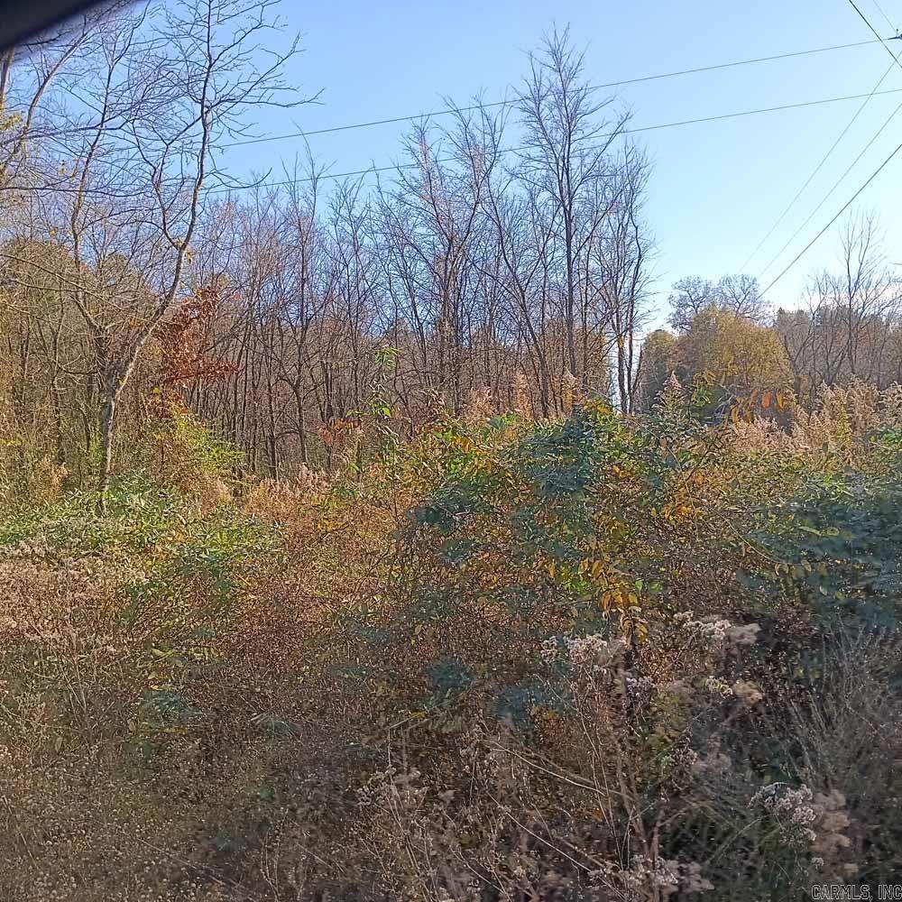 0 Brush Creek  Parks, AR