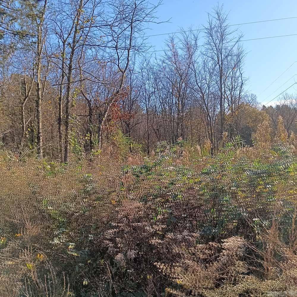 0 Brush Creek  Parks, AR