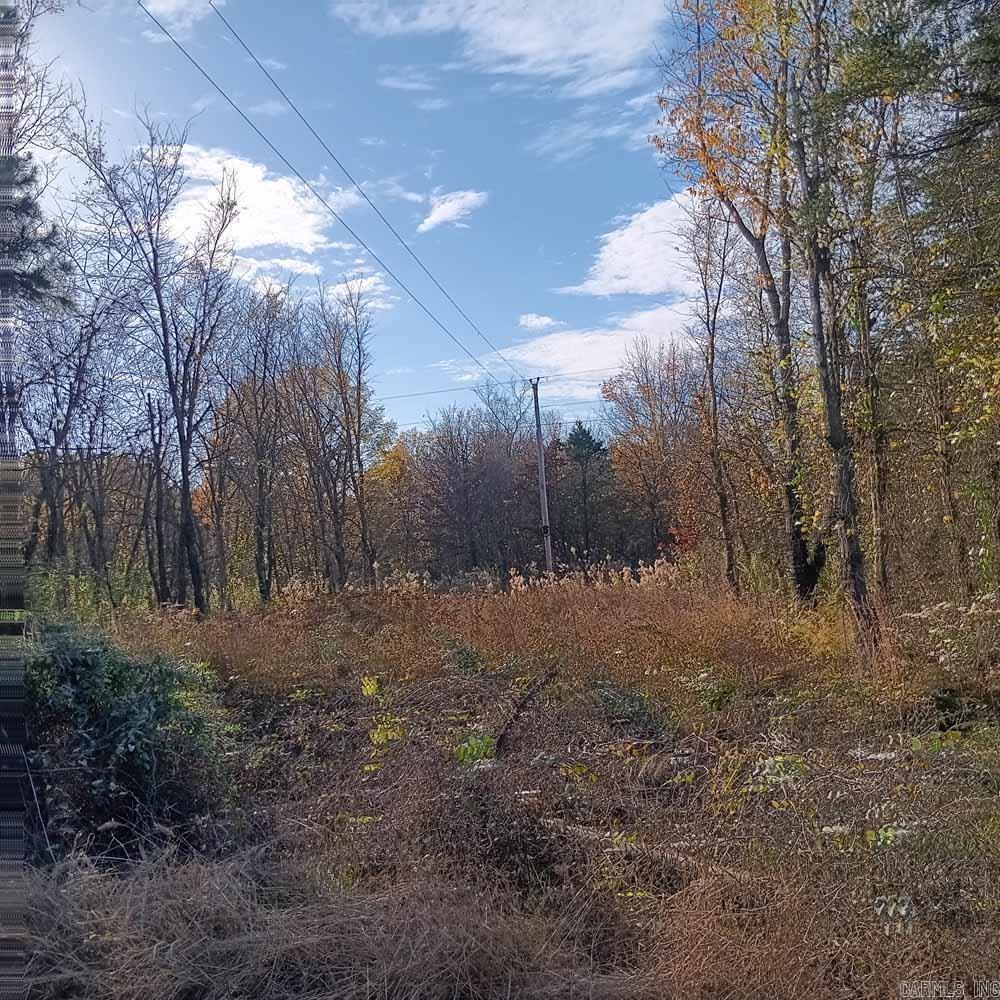 0 Brush Creek  Parks, AR