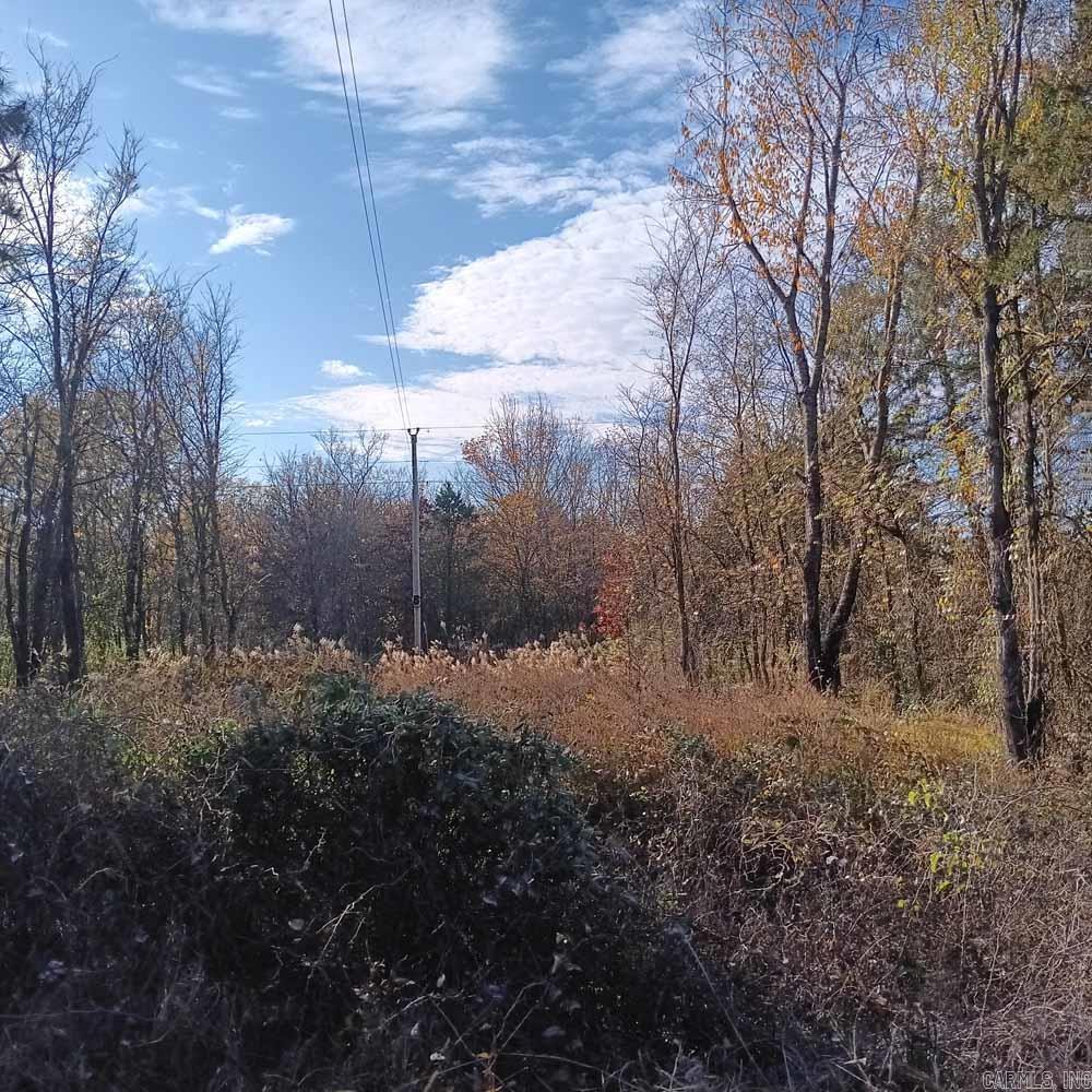 0 Brush Creek  Parks, AR