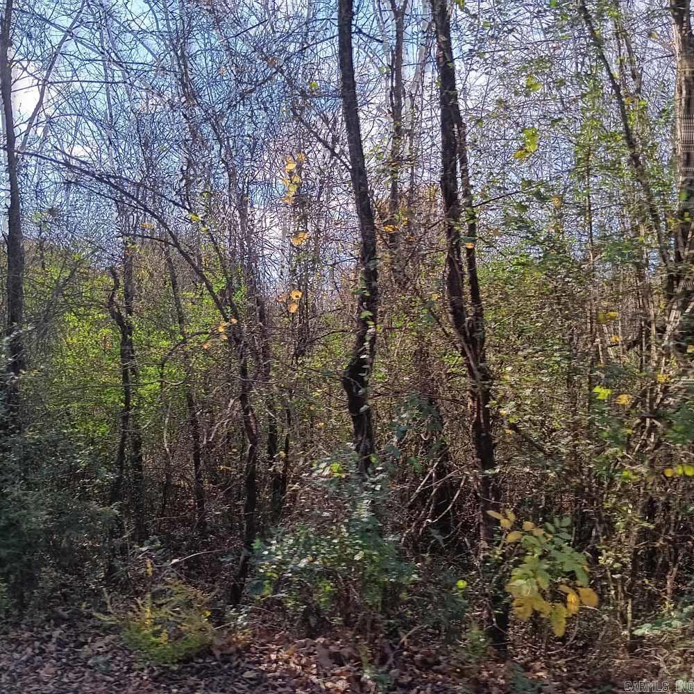 0 Brush Creek  Parks, AR