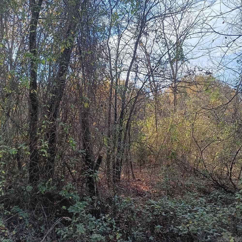 0 Brush Creek  Parks, AR