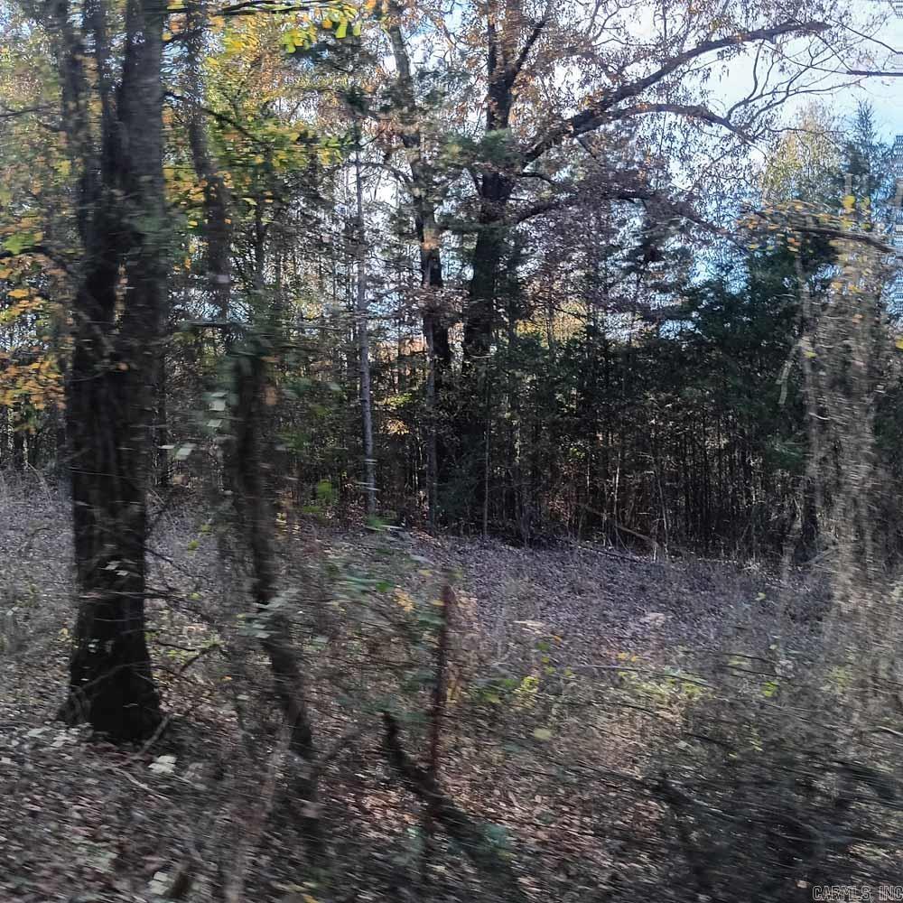 0 Brush Creek  Parks, AR