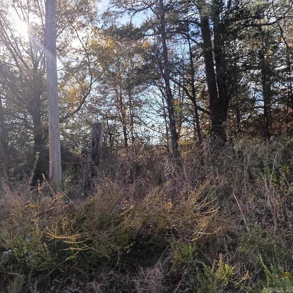 0 Brush Creek  Parks, AR