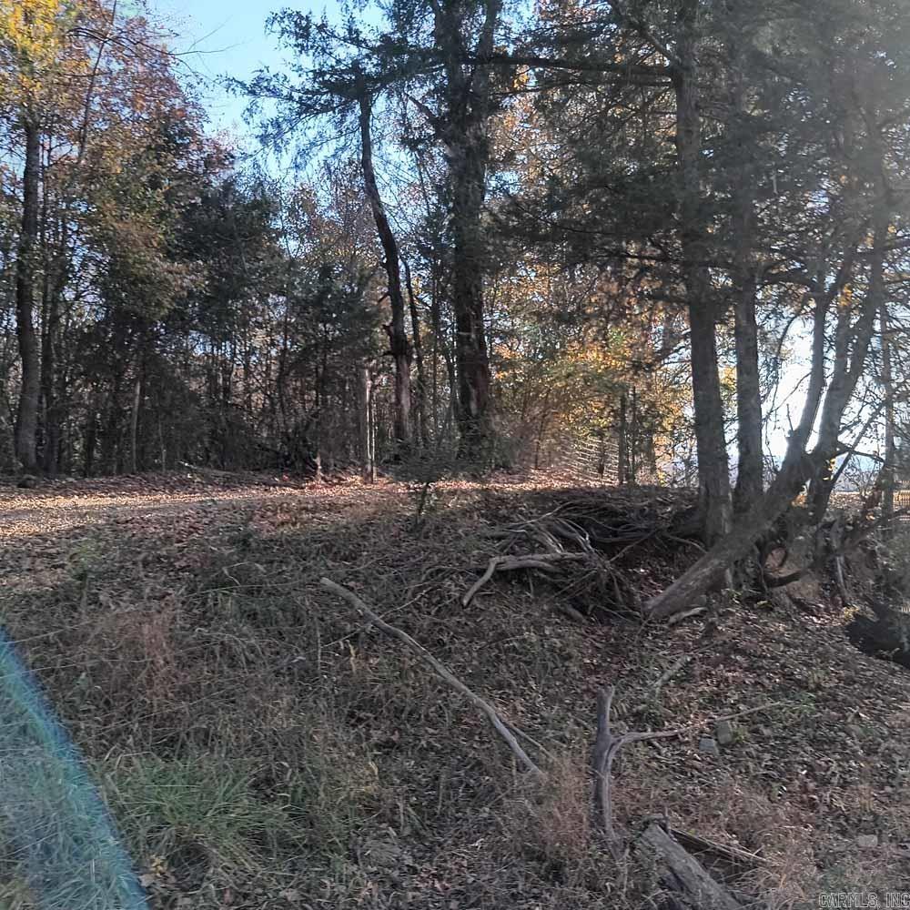 0 Brush Creek  Parks, AR