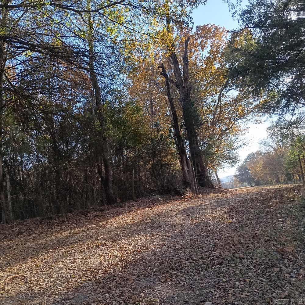 0 Brush Creek  Parks, AR