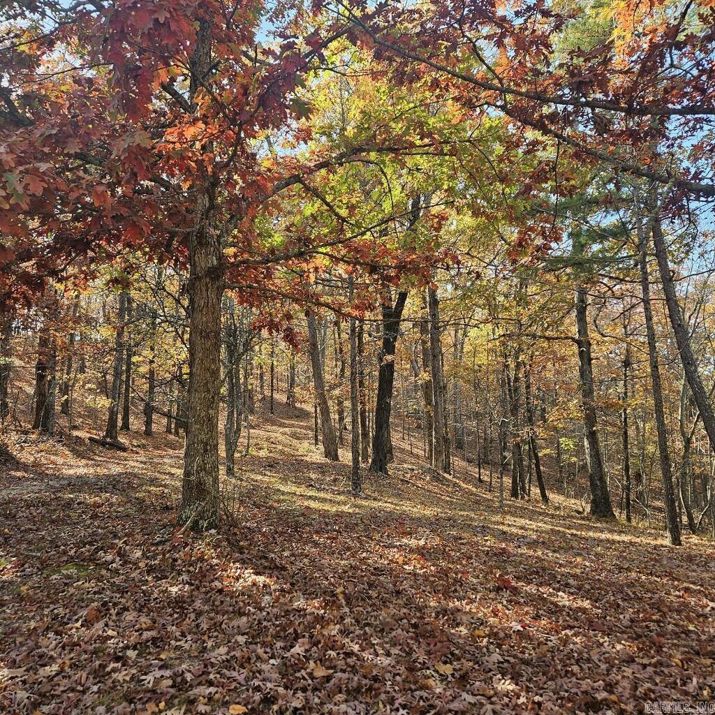 2874 Copper Hollow  Bismarck, AR