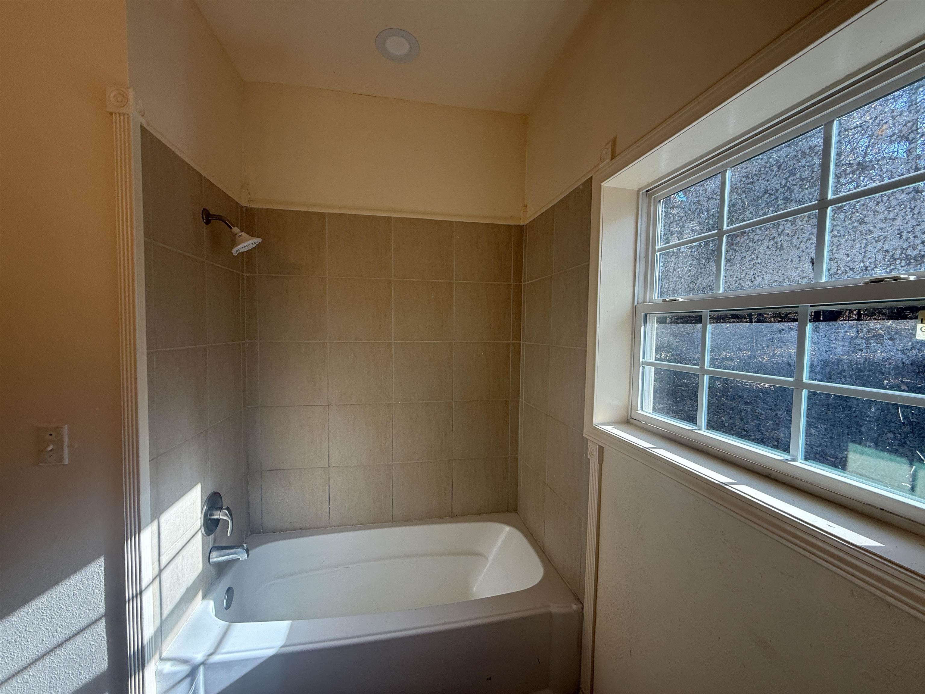 11 Immokalee  Cherokee Village, AR