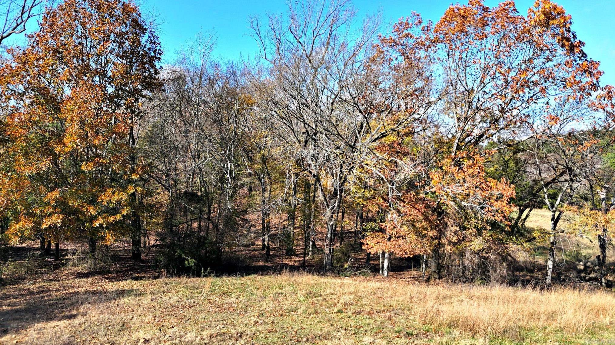 430 Polk Road 65 Mena, AR 71953